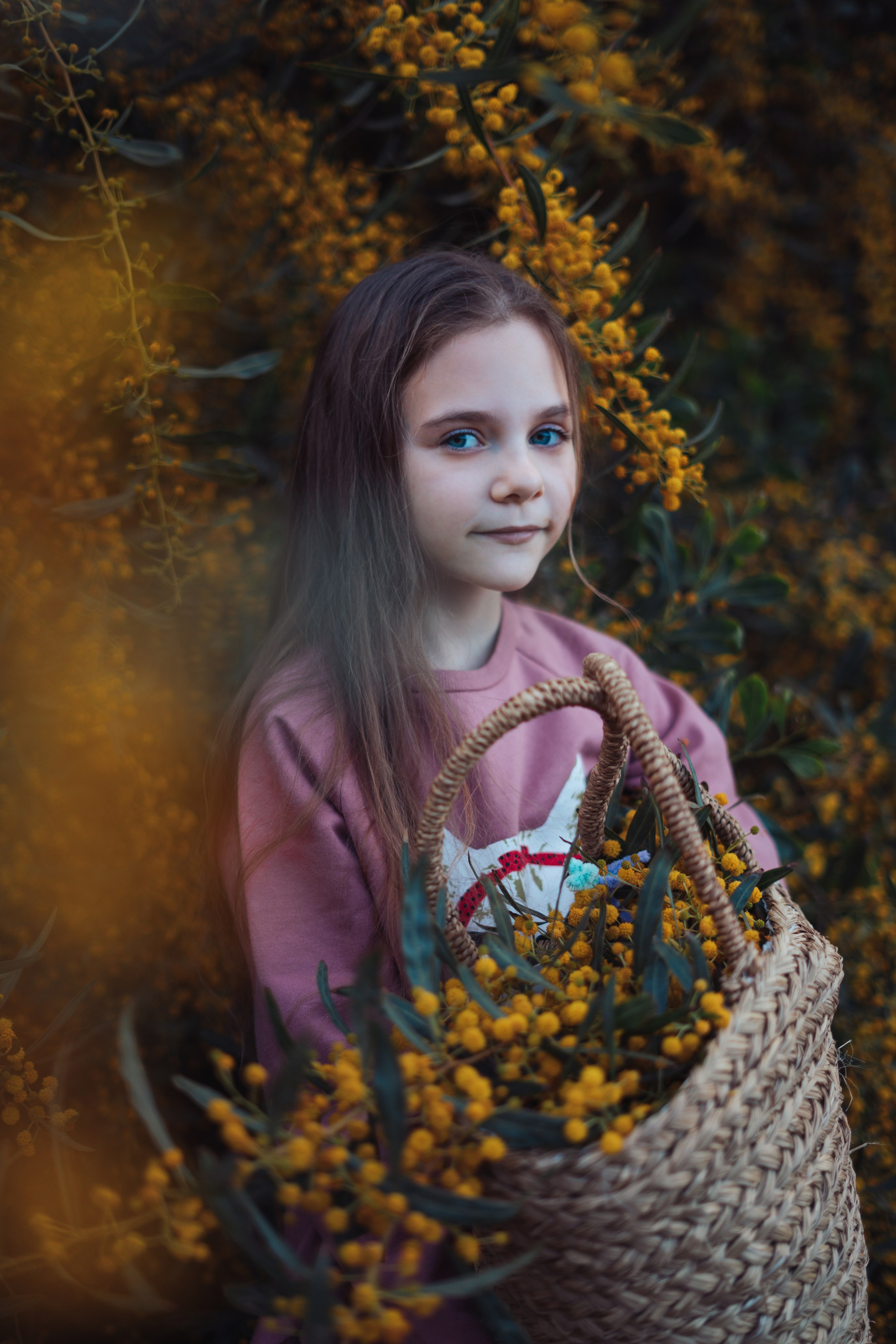 Мимоза. Анастасия Благова — Твой фотограф в Малаге 🇪🇸