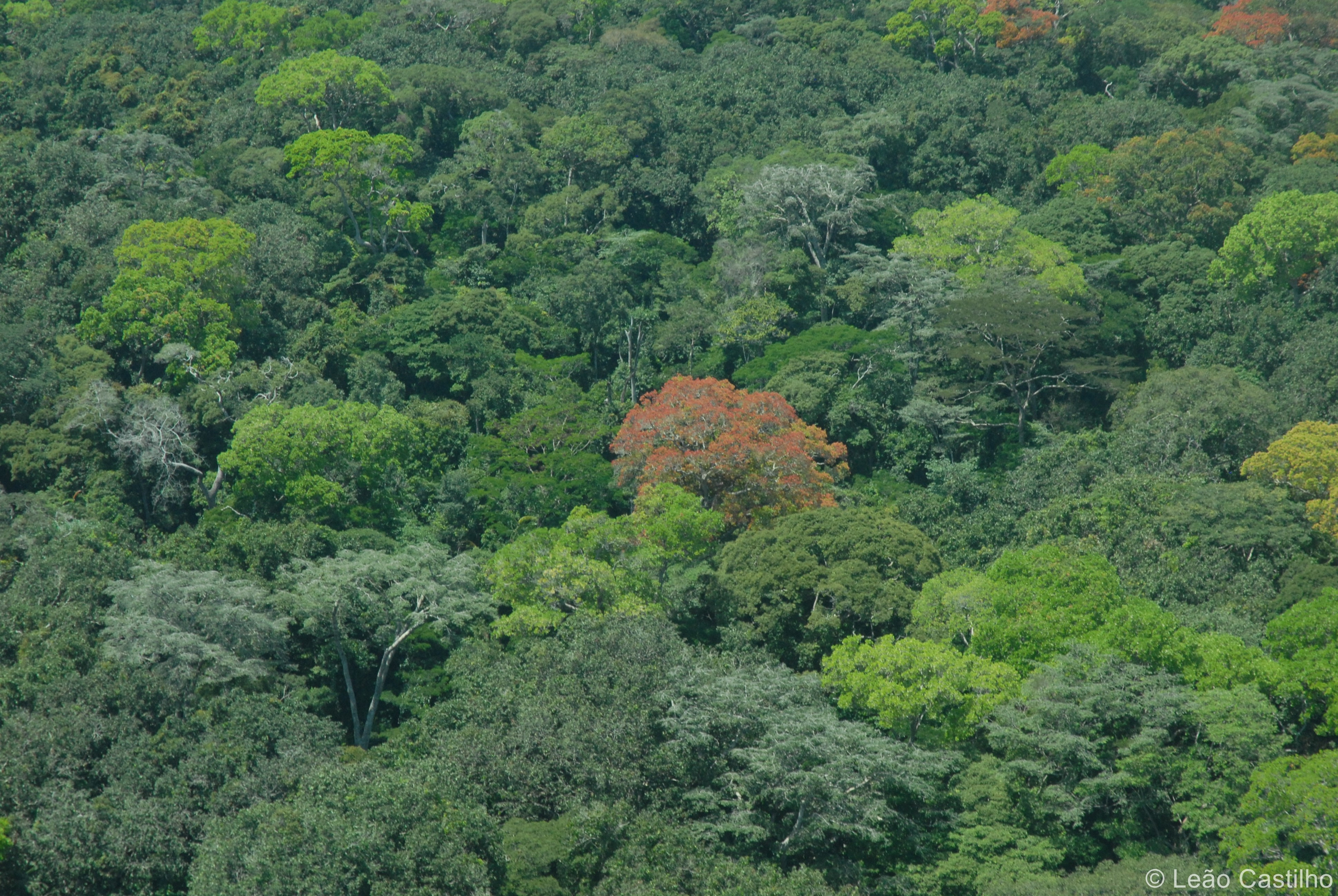 Aerial photos. Simbahalu