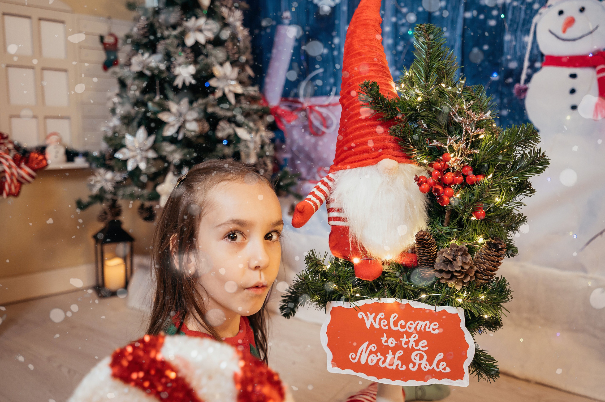 Sedinta Craciun Sofia