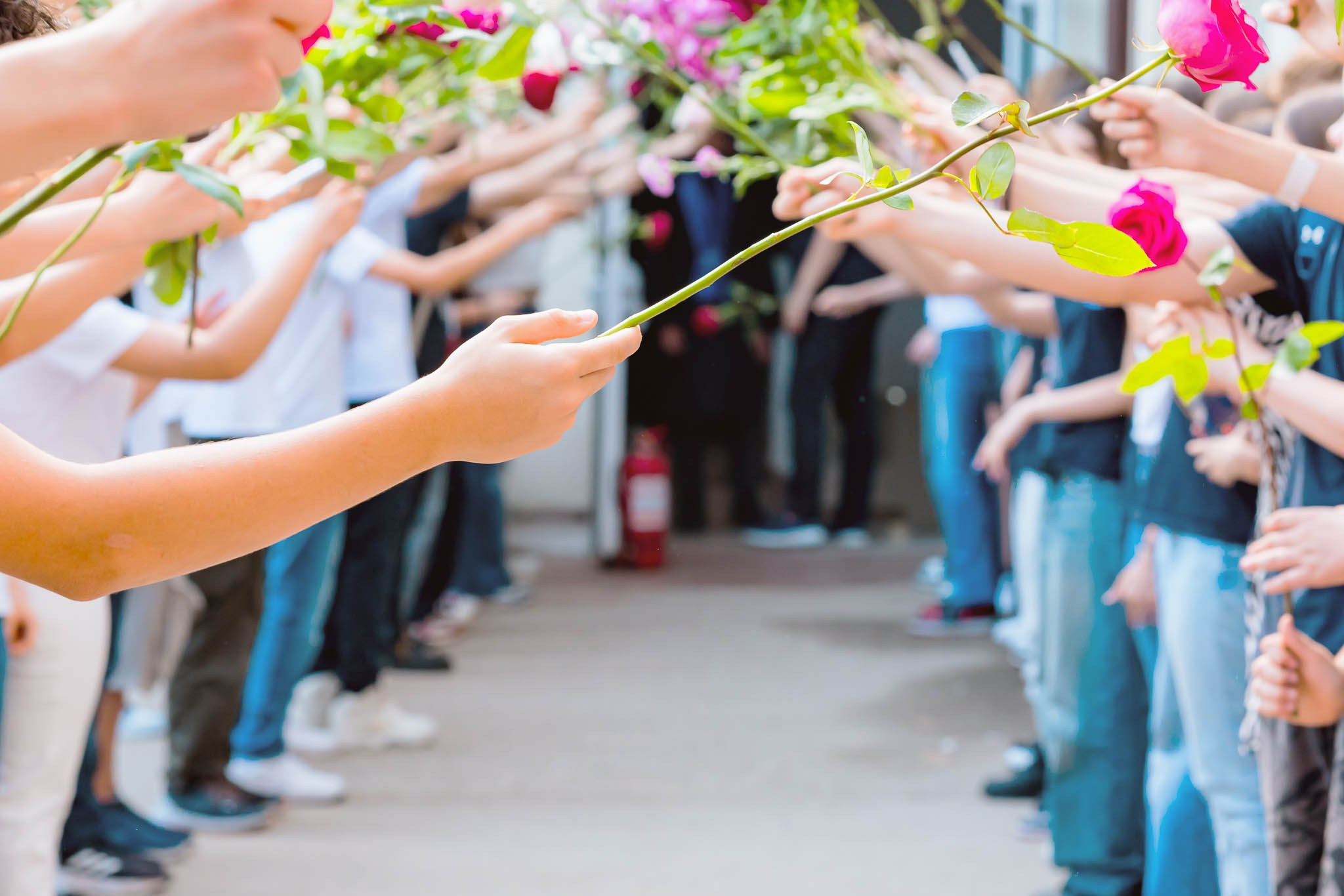 Ultimul clopotel clasa 8 D