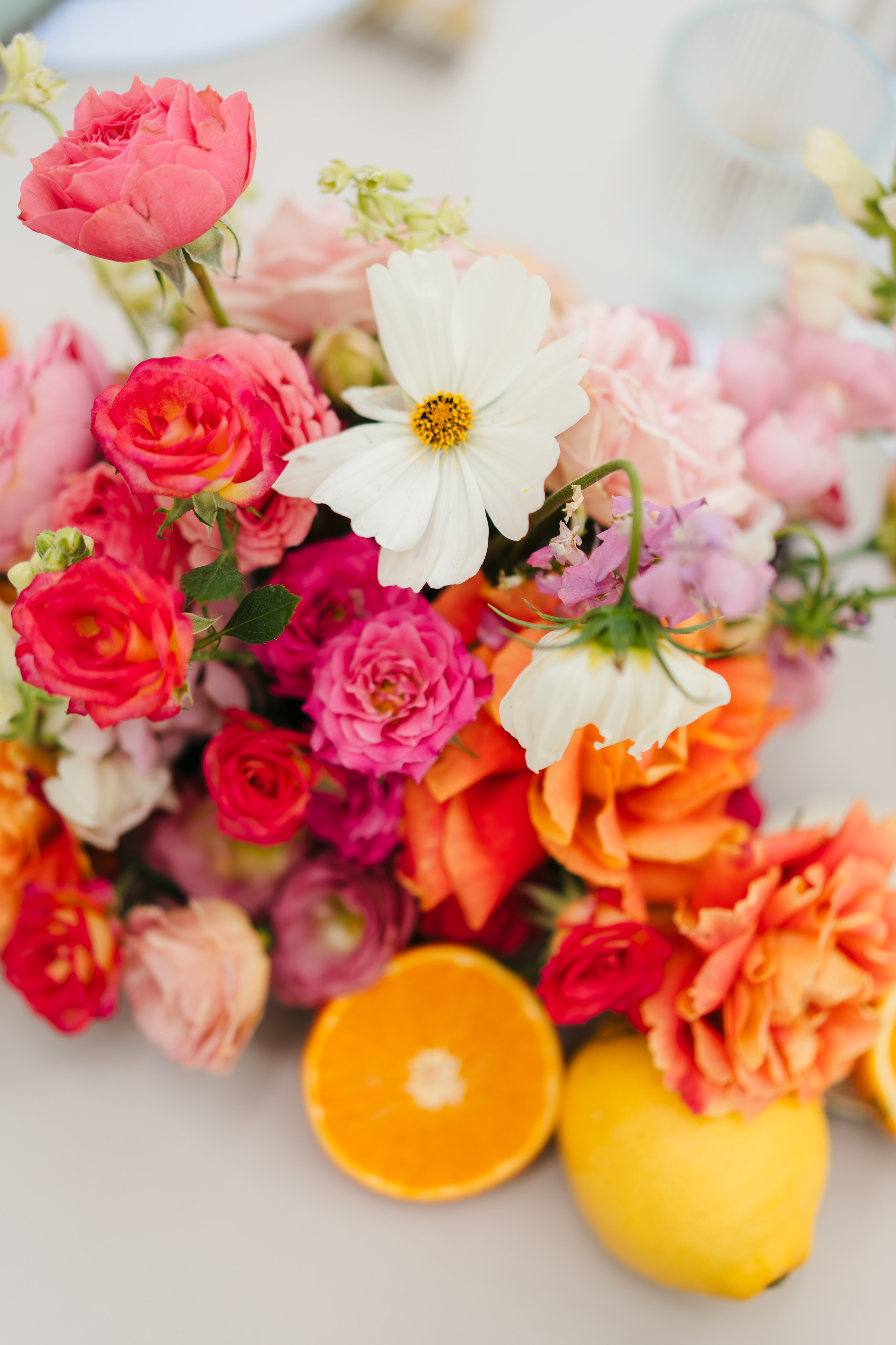 PORTFOLIO. Fotograf ślubny & lifestyle Gdańsk, Karolina Baczewska