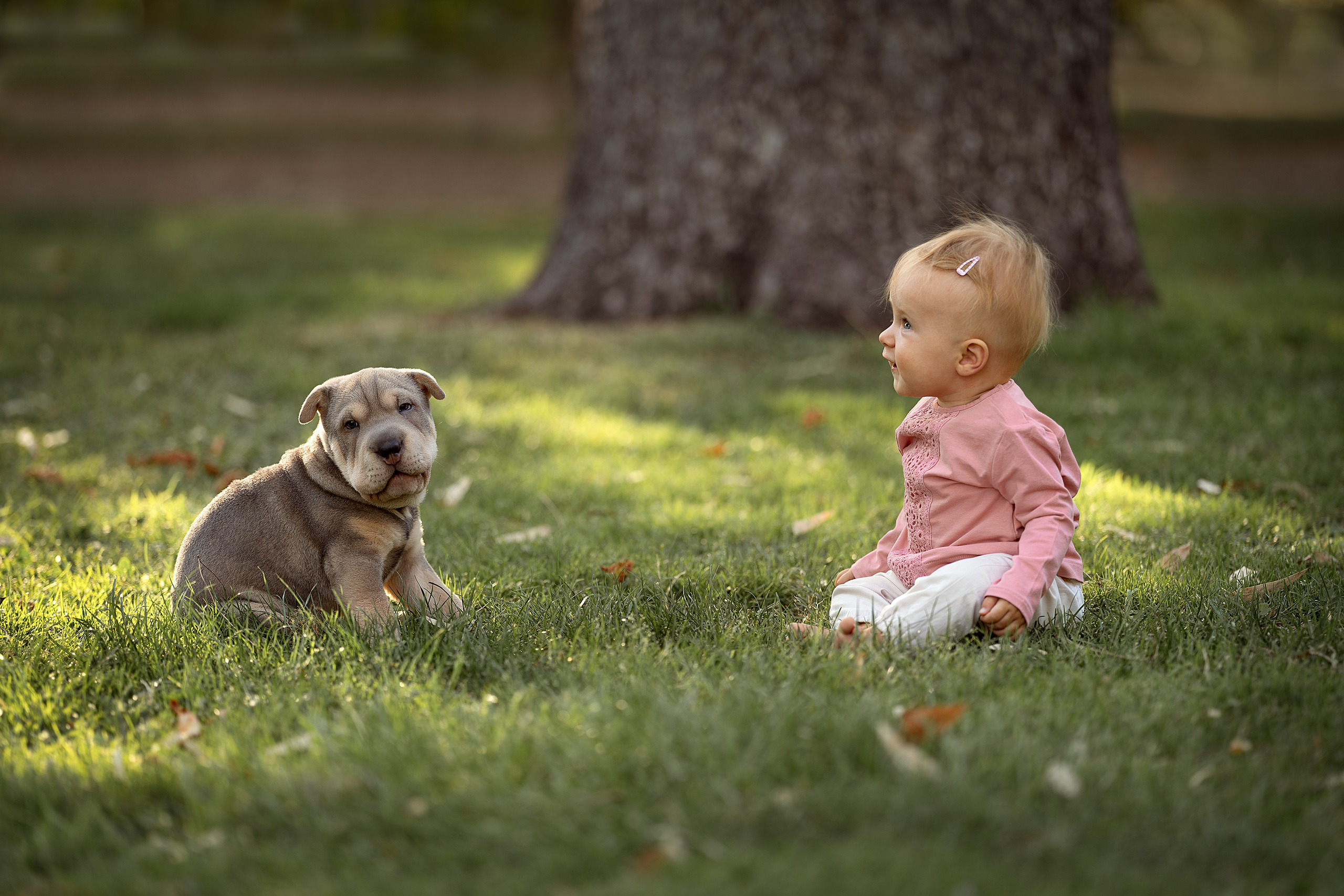 PORTFOLIO. Fotógrafo Madrid. España. Elena Lukicheva