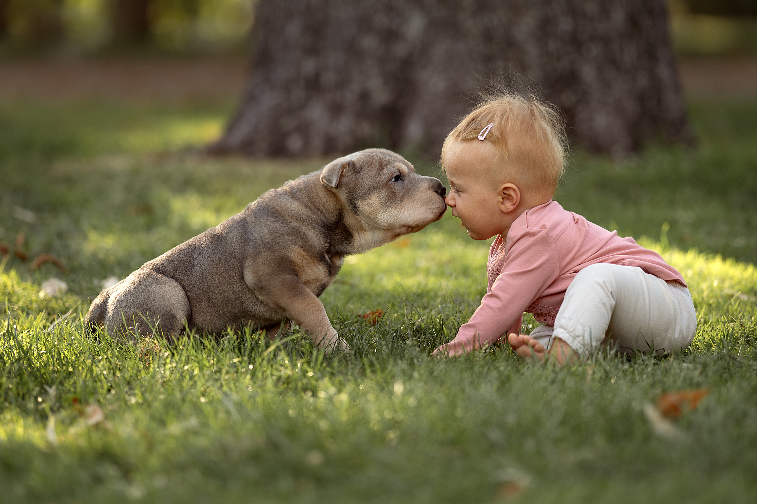 PORTFOLIO. Fotógrafo Madrid. España. Elena Lukicheva