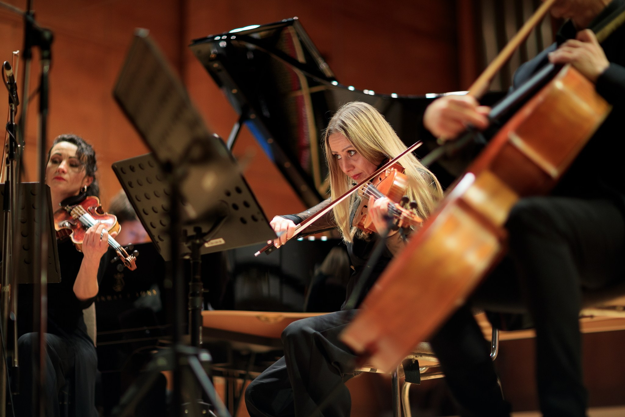 Quarto Quartet. Александър Сандев - личен сайт на фотографа