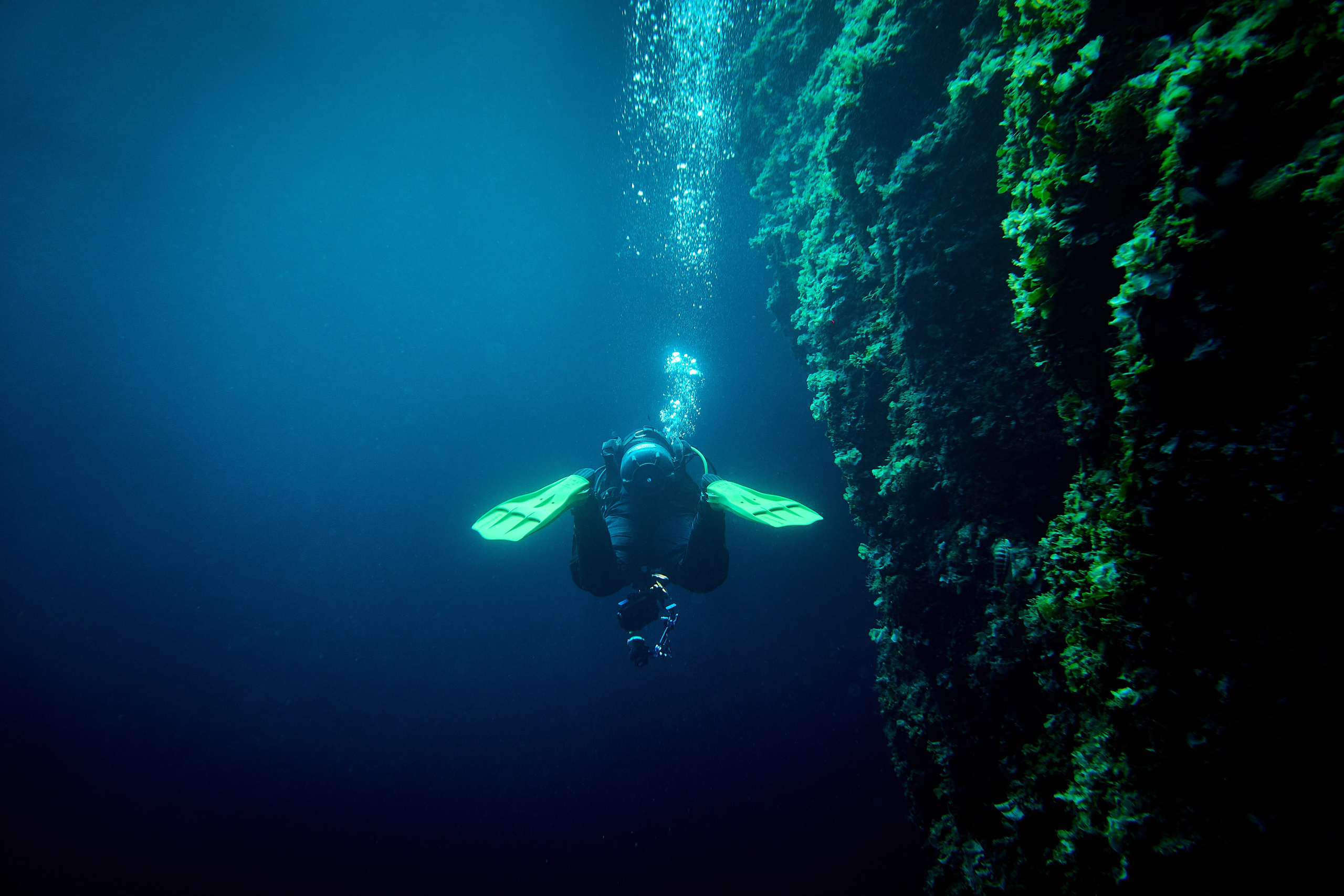 Fotograf podwodny Andriej Szypiłow. Andriej Szypilow - Fotografia & Wideografia