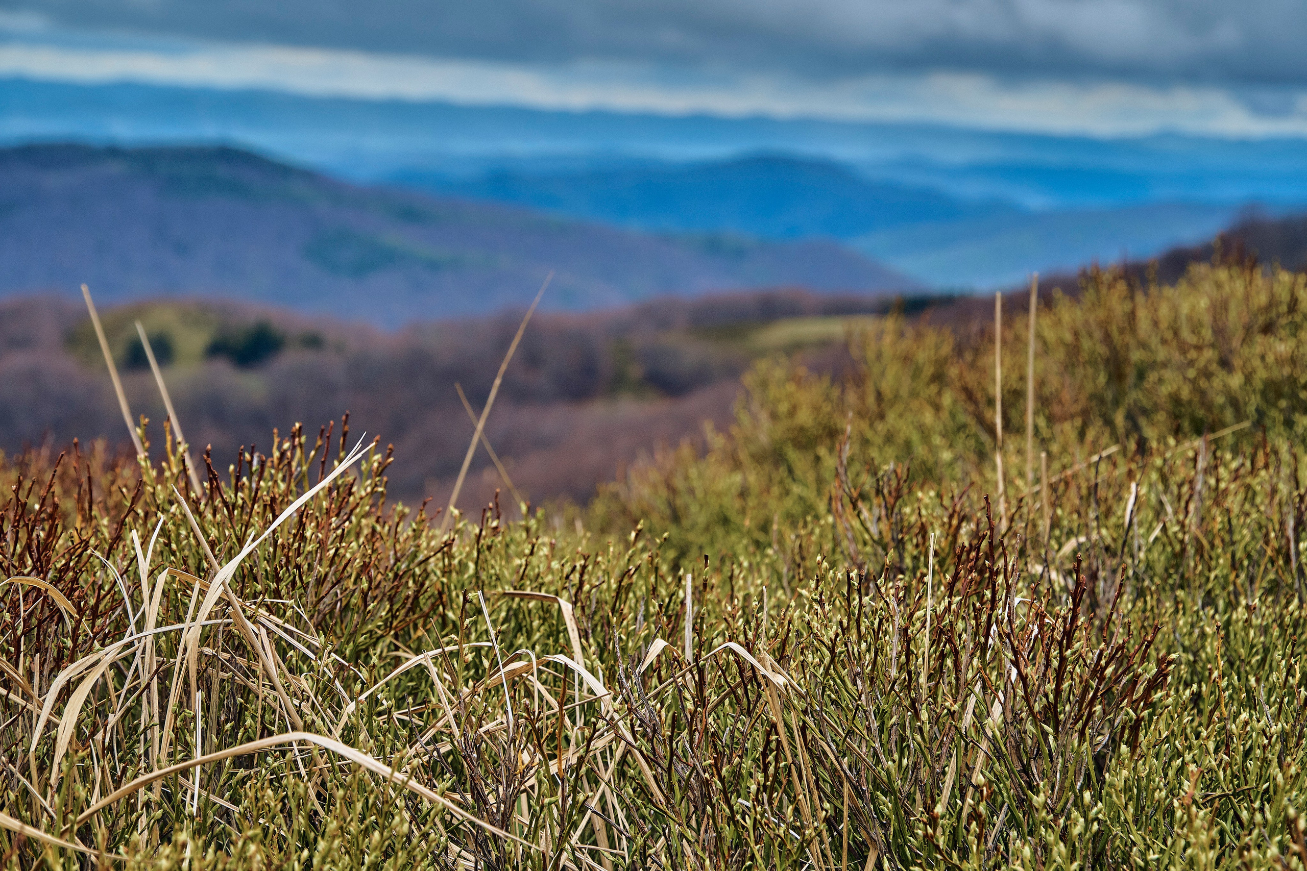 Bieszczady - tu zatrzymuje się czas. Andriej Szypilow - Fotografia & Wideografia