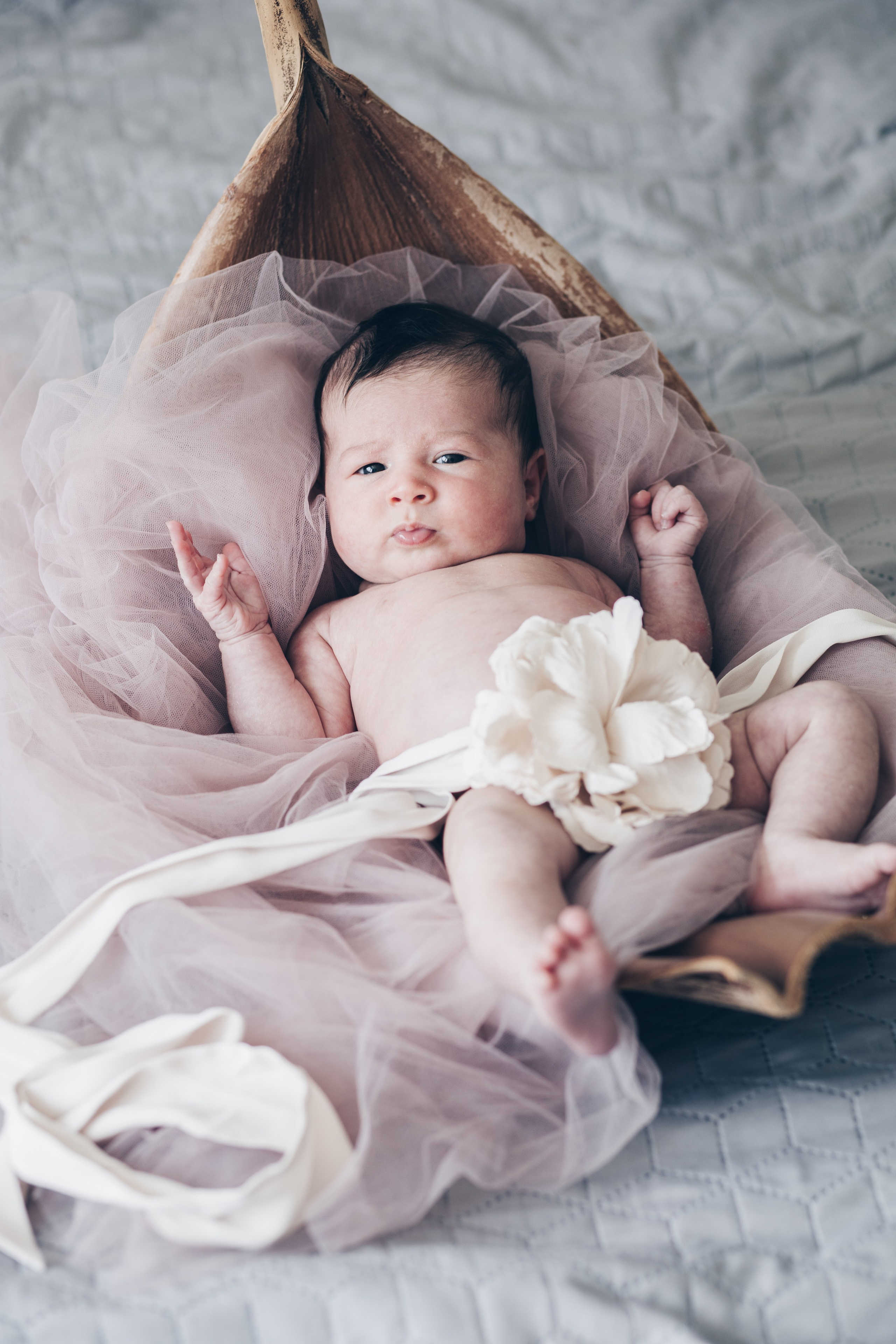 Newborn. Orel-photogirl.com