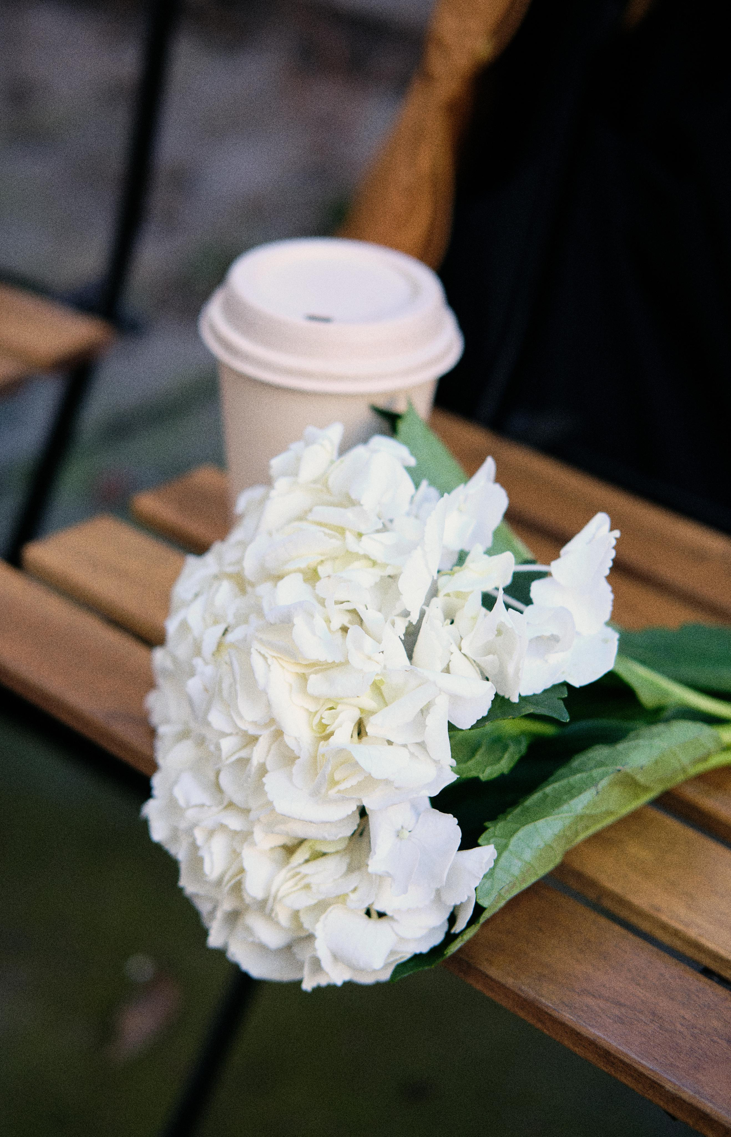 Polina. Wedding photography and videography in Regina, Saskatchewan