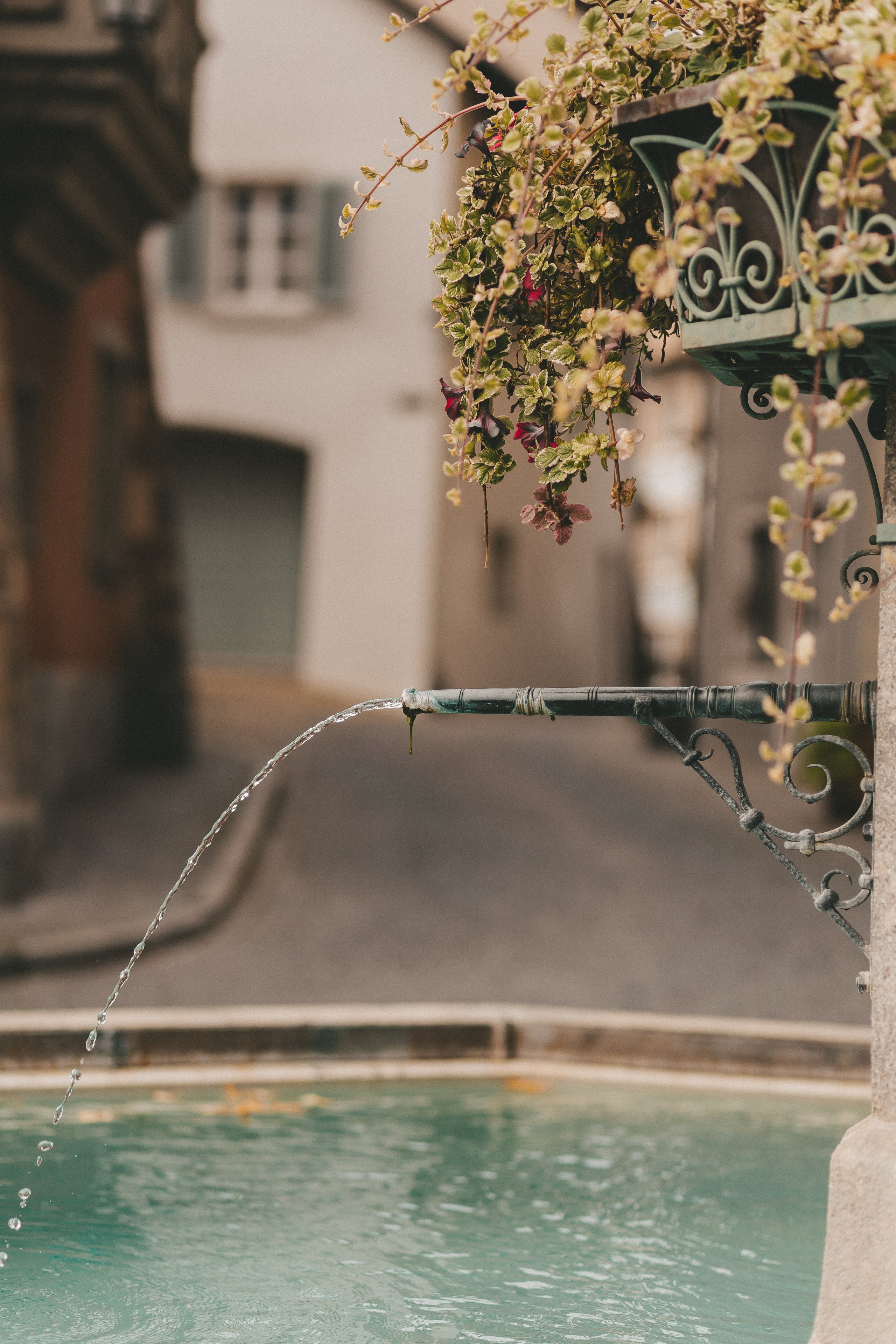 Laufenburg. Maria Chistyakovа — Fotografin in Karlsruhe, Baden-Baden und Umgebung