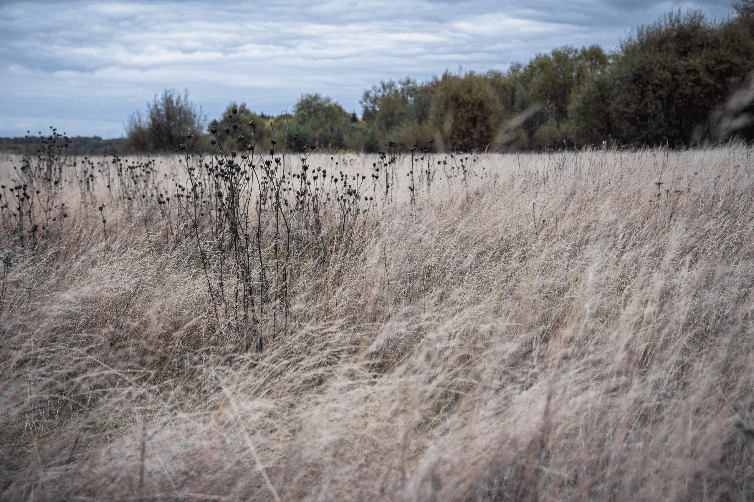 Заброшенная Россия: Мантурово. Фотограф в Германии — Мария Чистякова