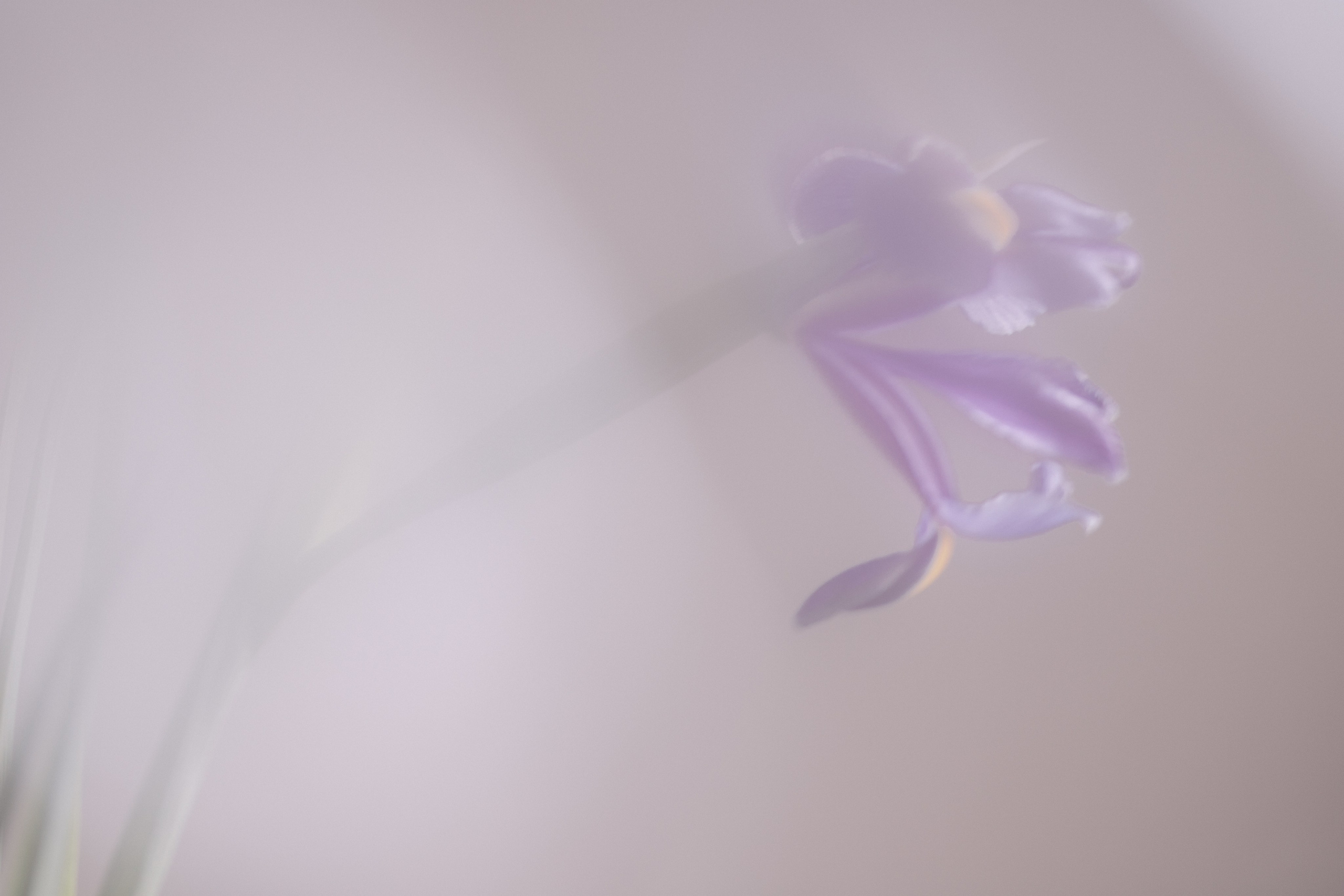 ART POSTCARDS. Natalja Poplavska — Visual artist, Photographer, East Sussex, London