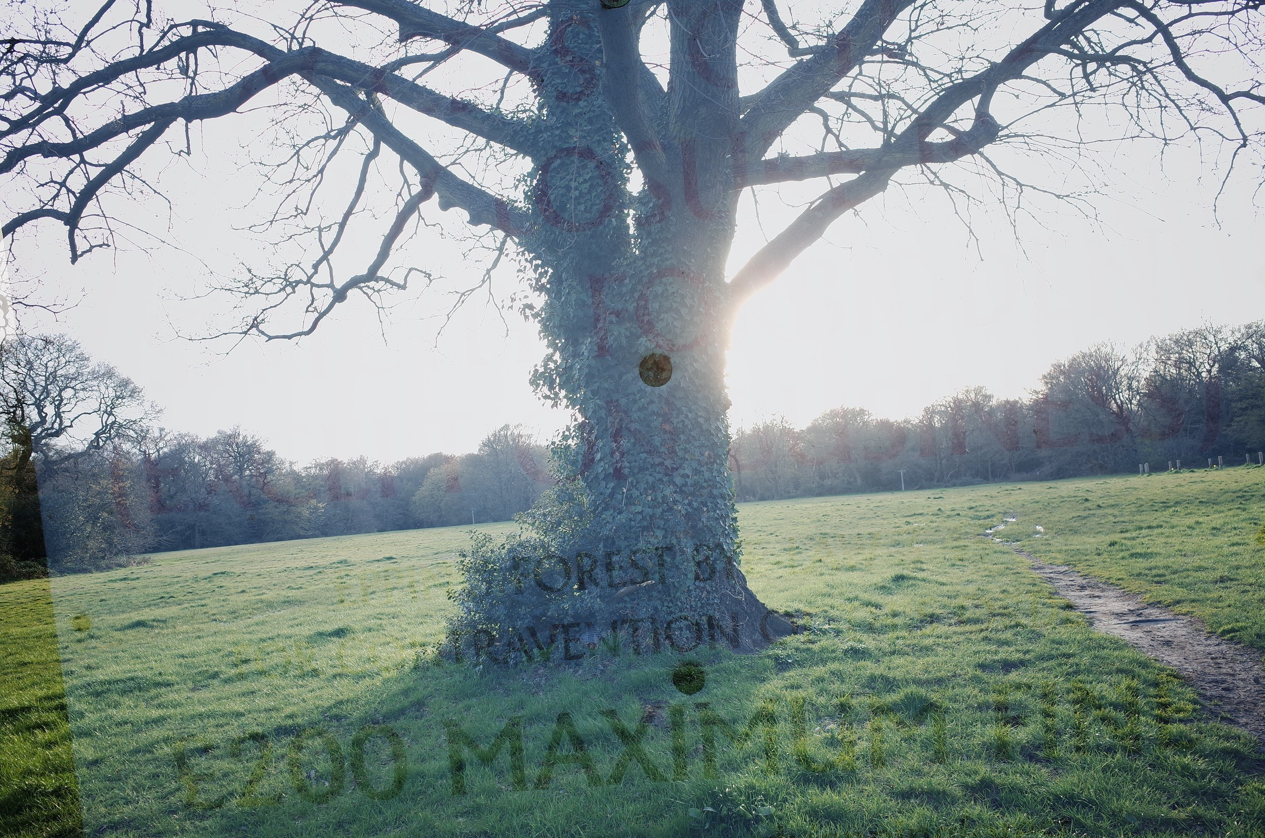 London L(ove) (ust) Letters. Виктория Дини. Арт-фотография