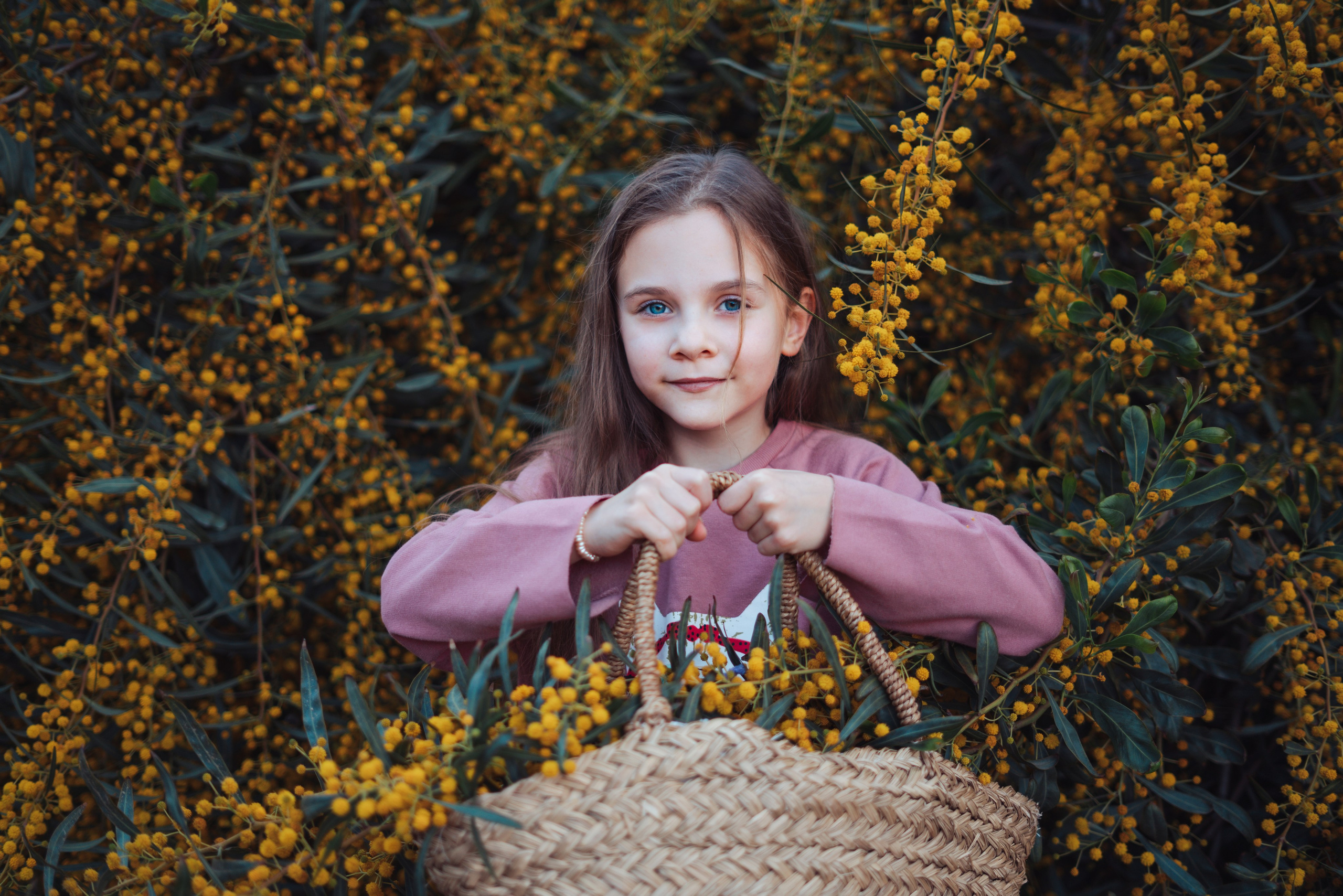 Мимоза. Анастасия Благова — Твой фотограф в Малаге 🇪🇸