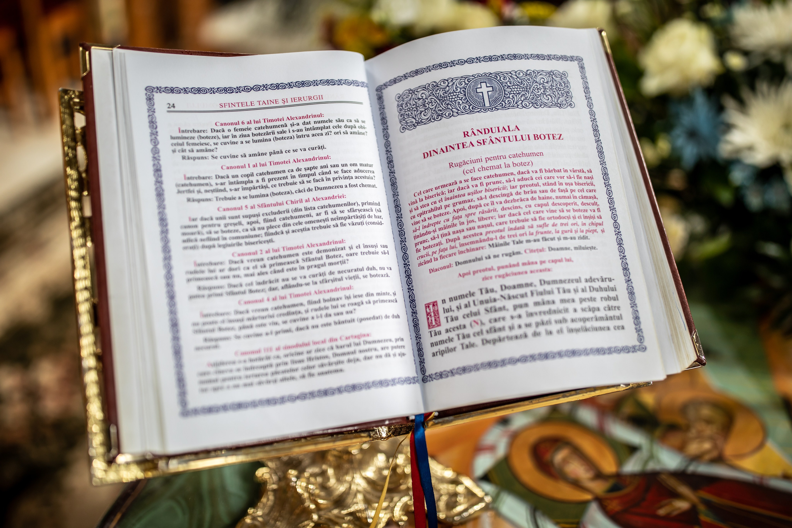 “Bebeluș botezat în biserică, ținut în brațe de nași”	•	“Detaliu cu lumânarea de botez decorată cu flori albe”	•	“Părinți emoționați alături de copilul lor la ceremonia de botez”	•	“Masa festivă de botez cu decor tematic și tort personalizat”	•	“Momentul în care preotul toarnă apă sfințită pe fruntea bebelușului”	“Bebeluș în rochie albă de botez, zâmbind în brațele mamei”	•	“Detaliu cu cruciulița de botez așezată pe o pernă de satin”	•	“Părinți și nași aprinzând lumânările în timpul ceremoniei de botez”	•	“Tort de botez decorat cu figurine tematice și numele copilului”	•	“Copil botezat dormind liniștit în pătuțul decorat festiv”	•	“Momentul în care preotul binecuvântează copilul în fața altarului”	•	“Invitați adunându-se în jurul mesei festive la petrecerea de botez”	•	“Bebeluș ținând în mână o jucărie personalizată primită la botez”	•	“Familie fericită pozând împreună după ceremonia de botez”	•	“Decor tematic cu baloane și flori la locația petrecerii de botez” fotograf Botoșani fotograf evenimente fotograf botez Alin Chirila fotograf alinofotostudio,- Preotul ținându-l pe micuțul Mathias Gabriel la botez, în biserica Înălțarea Domnului, Copălău  - Detalii de la botezul lui Mathias – lumânare, trusou și icoană  - Familia lui Mathias Gabriel alături de micuț, în ziua botezului  - Portret emoționant cu mama și bebelușul în brațe, în biserică,fotograf profesionist evenimente Botoșani, Iași, Suceava, Fălticeni, Bacău, Pașcani, Roman - AlinoFotoStudio by Alin Chirilă - servicii foto nuntă, botez, cununie, ședințe foto creative, albume personalizate, fotografii emoționante și calitative pentru cele mai importante momente din viață,fotograf nuntă Botoșani Alin Chirilă,  ședință foto botez Iași - AlinoFotoStudio,  servicii fotograf profesionist evenimente Suceava,  fotograf cununie civilă Fălticeni - Alin Chirilă,  album foto nuntă personalizat Bacău.“Bebeluș botezat în biserică, ținut în brațe de nași”	•	“Detaliu cu lumânarea de botez decorată cu flori albe”	•	“Părinți emoționați alături de copilul lor la ceremonia de botez”	•	“Masa festivă de botez cu decor tematic și tort personalizat”	•	“Momentul în care preotul toarnă apă sfințită pe fruntea bebelușului”	“Bebeluș în rochie albă de botez, zâmbind în brațele mamei”	•	“Detaliu cu cruciulița de botez așezată pe o pernă de satin”	•	“Părinți și nași aprinzând lumânările în timpul ceremoniei de botez”	•	“Tort de botez decorat cu figurine tematice și numele copilului”	•	“Copil botezat dormind liniștit în pătuțul decorat festiv”	•	“Momentul în care preotul binecuvântează copilul în fața altarului”	•	“Invitați adunându-se în jurul mesei festive la petrecerea de botez”	•	“Bebeluș ținând în mână o jucărie personalizată primită la botez”	•	“Familie fericită pozând împreună după ceremonia de botez”	•	“Decor tematic cu baloane și flori la locația petrecerii de botez” fotograf Botoșani fotograf evenimente fotograf botez Alin Chirila fotograf alinofotostudio.fotograf botez Amelis Maria, fotografie botez Botoșani, fotograf Alin Chirilă, amintiri botez, fotografii botez, botez Amelis Maria, fotograf copii, fotografie botez în Botoșani,