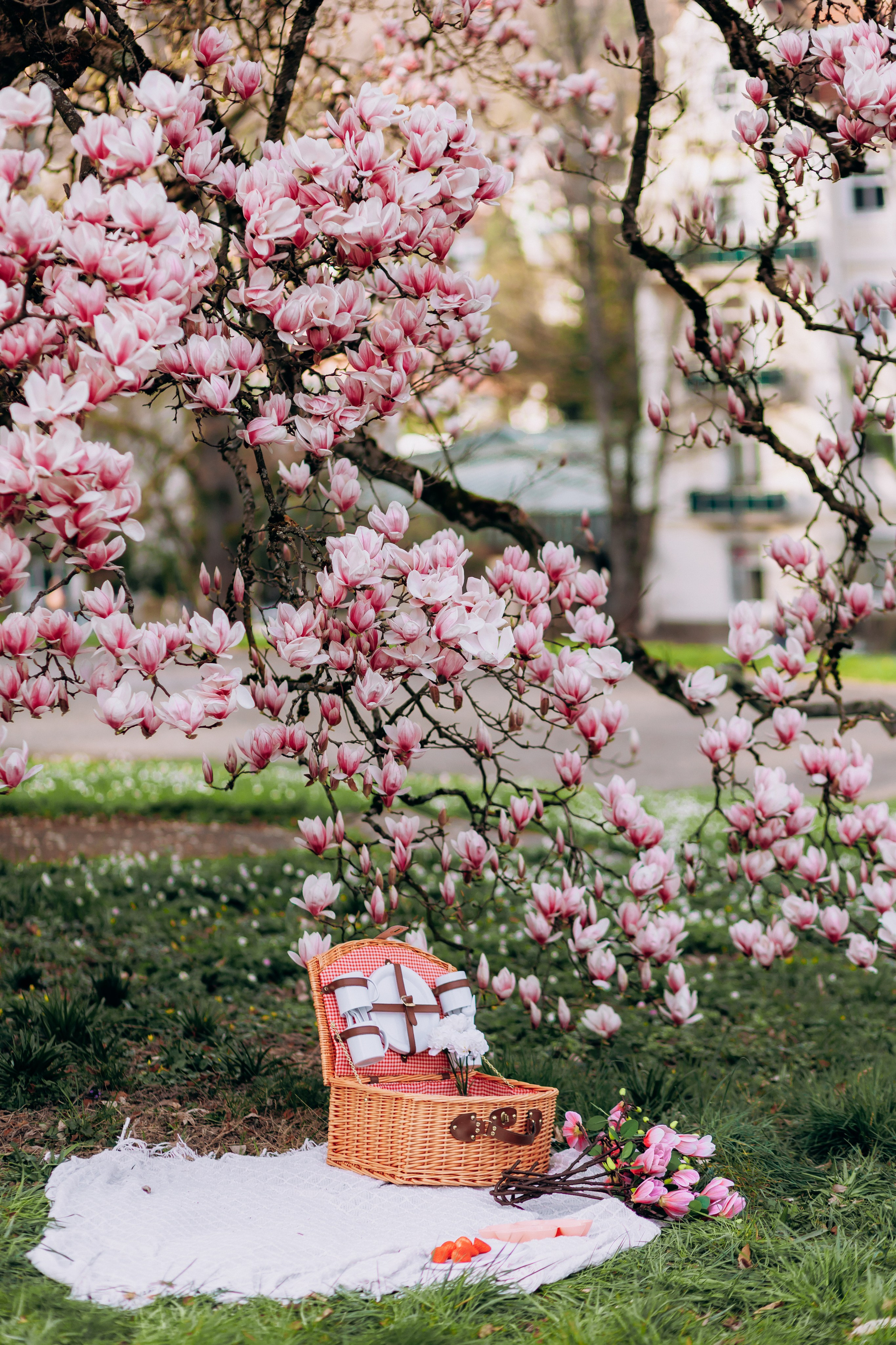 Tatiana, Alisa, Daria. Wedding and Family Photograph