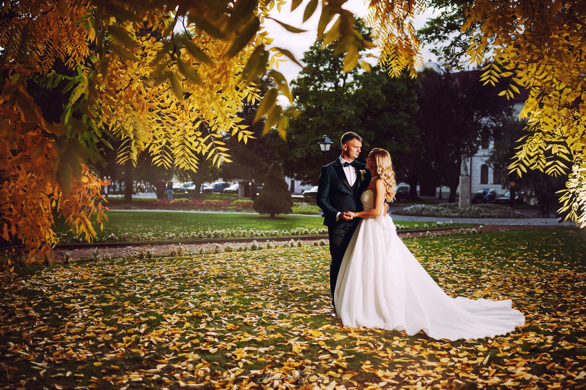 Vio & Adi. Andrei Stanea