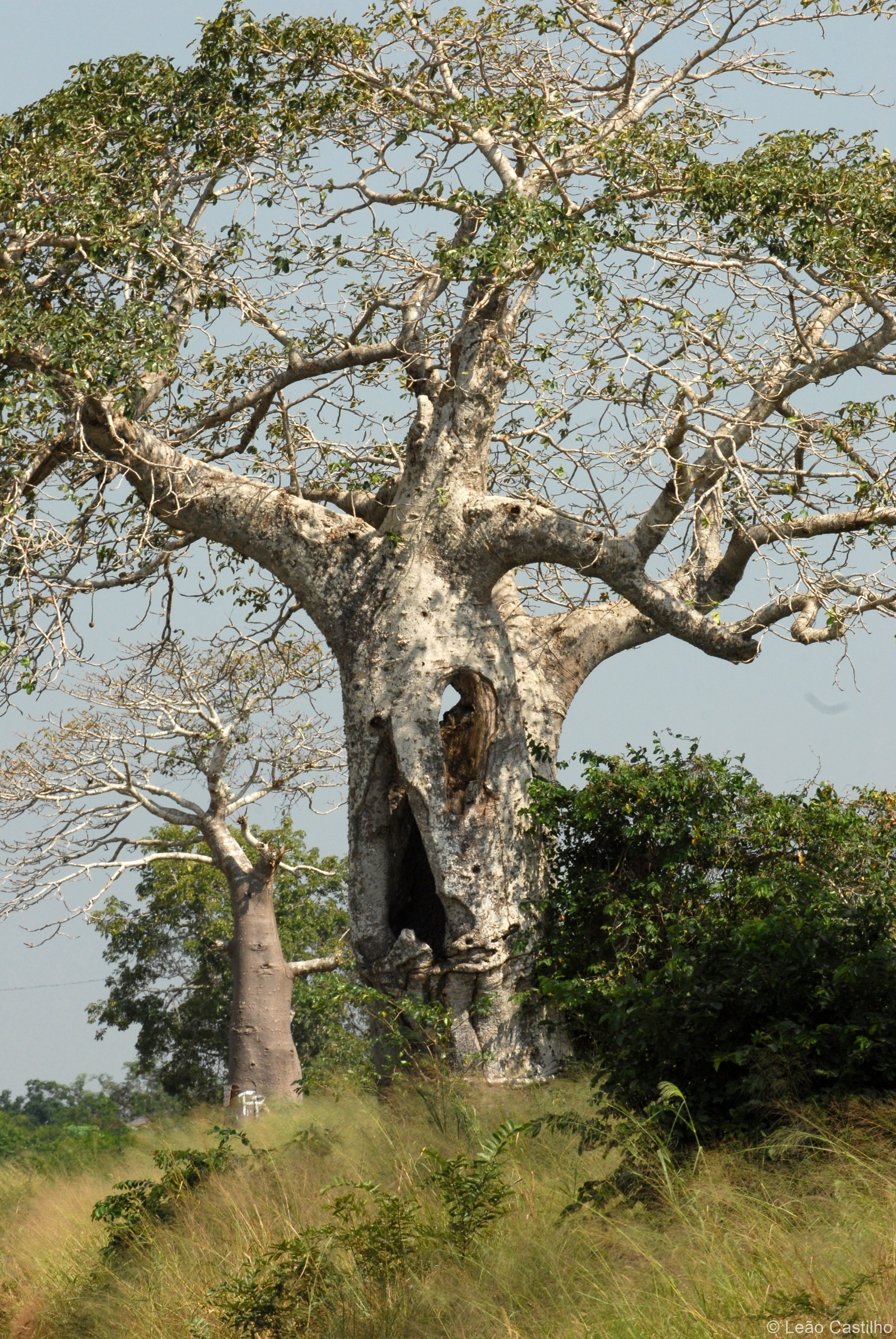 Photos from Angola. Simbahalu