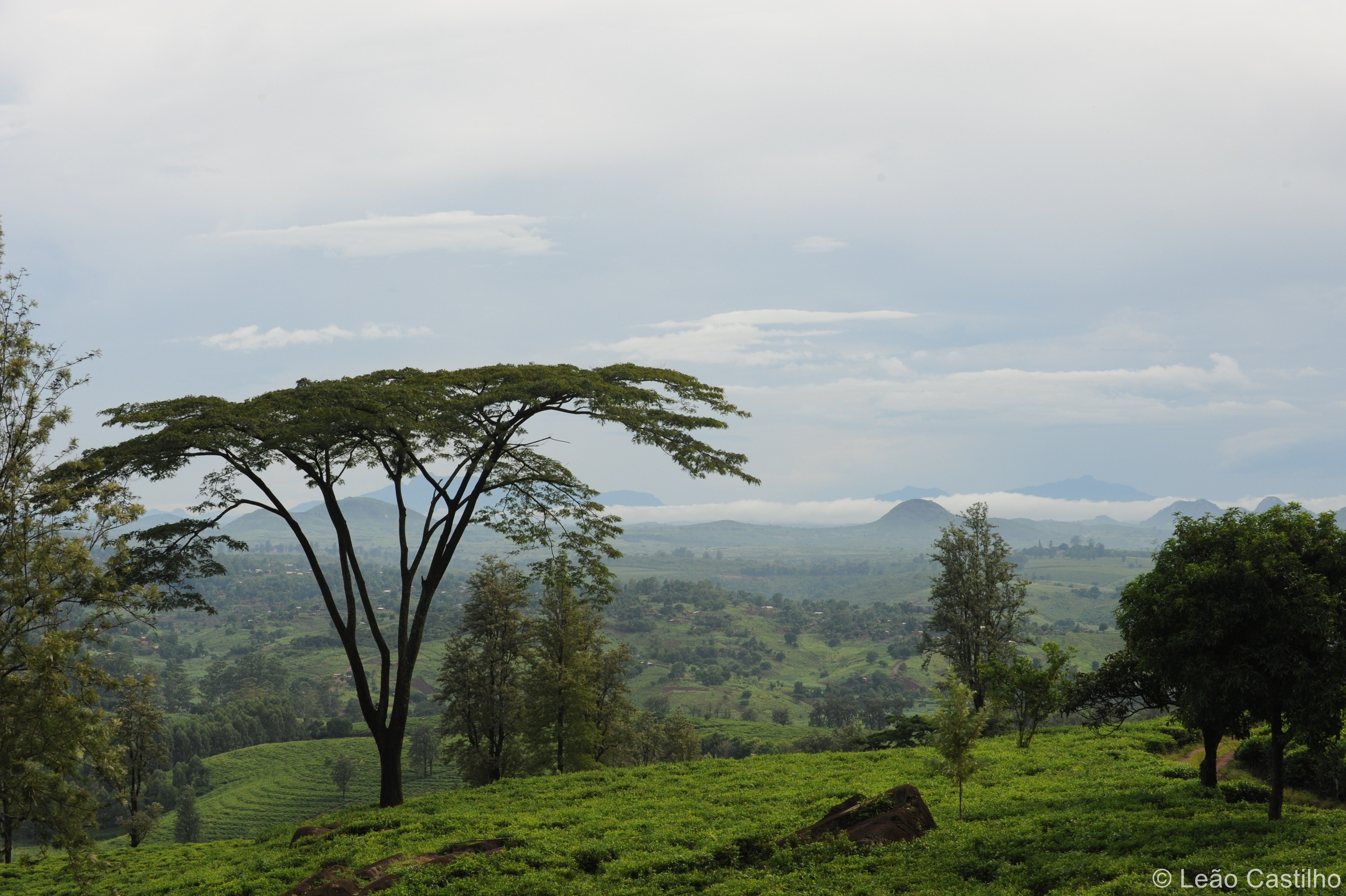 Photos from Mozambique. Simbahalu