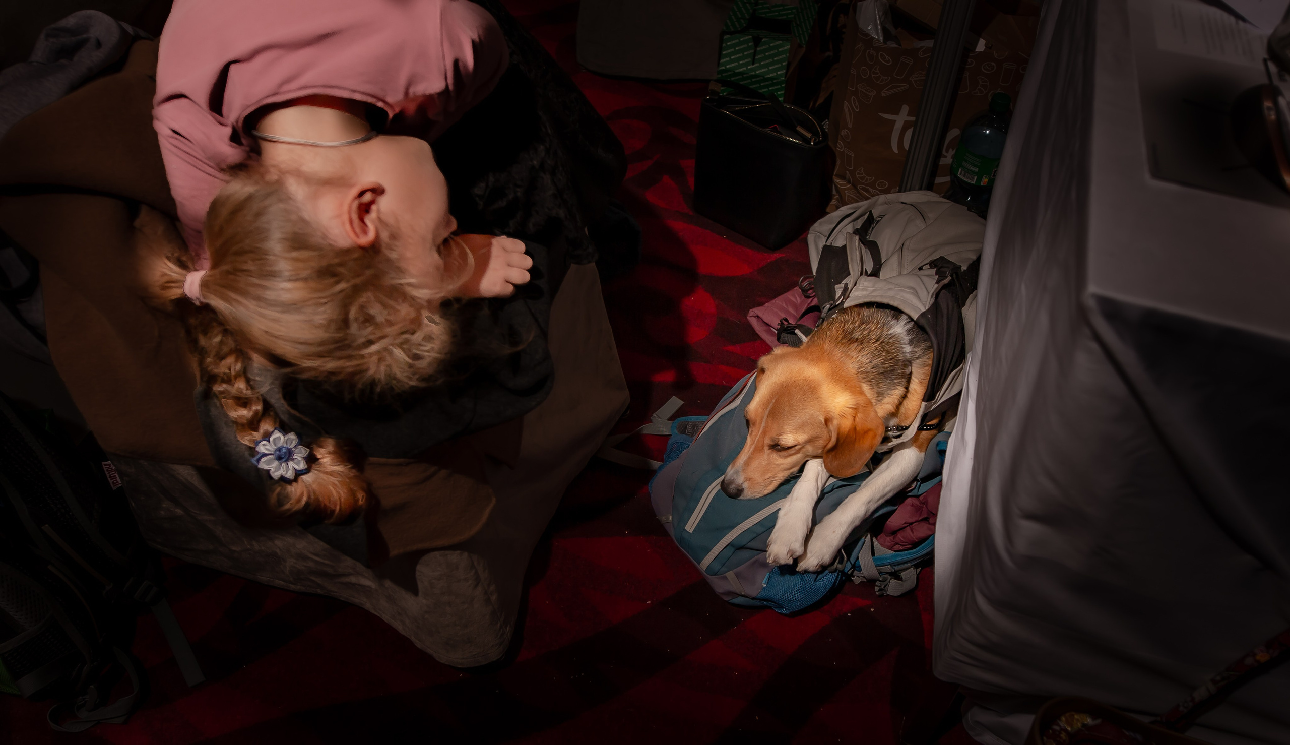 Exhibitions. Portret photographer in Switzerland Artur Magpie