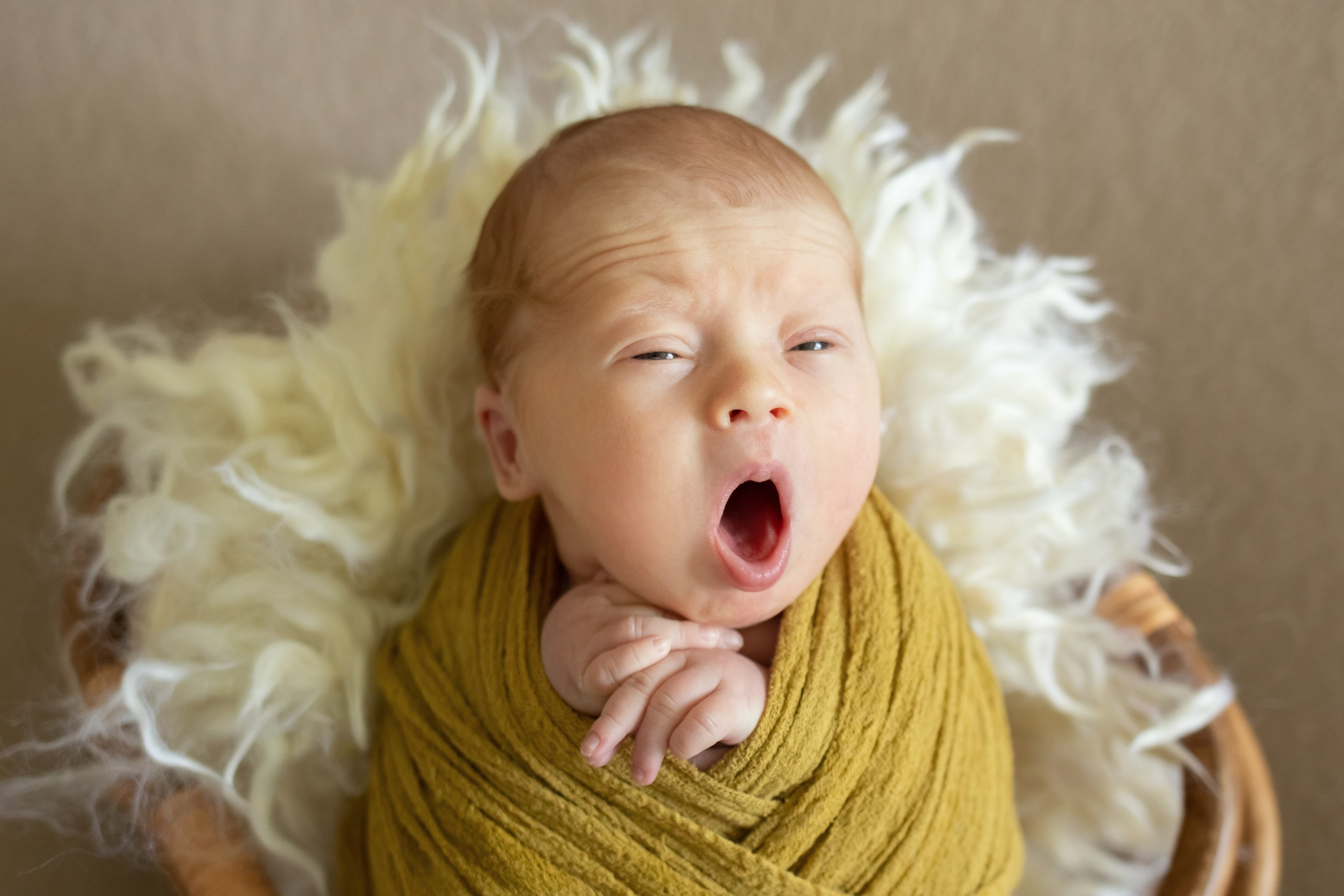 Clásico. Fotógrafa profesional en España