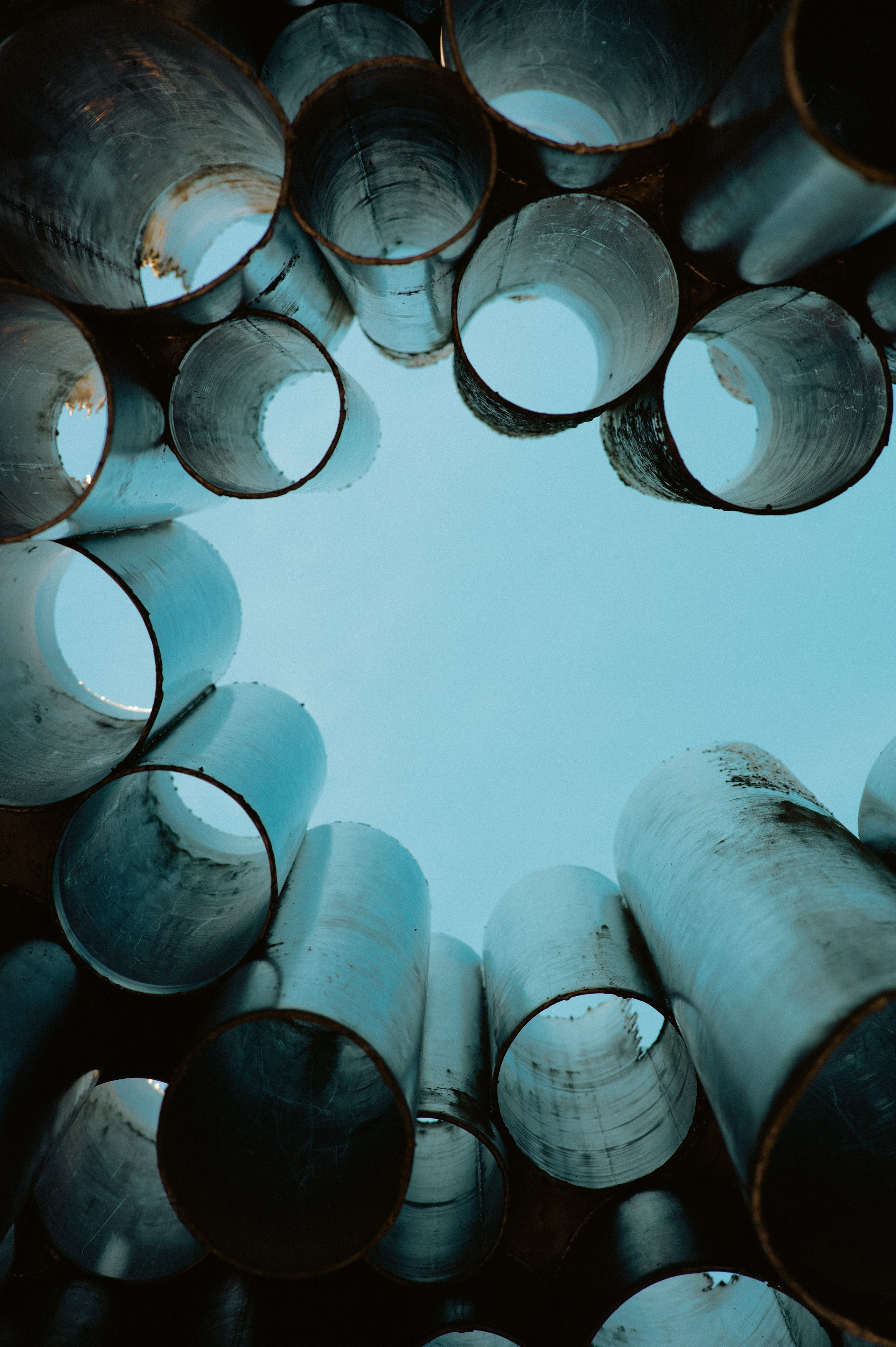 Портрет. Фотограф Сергей Трифонов