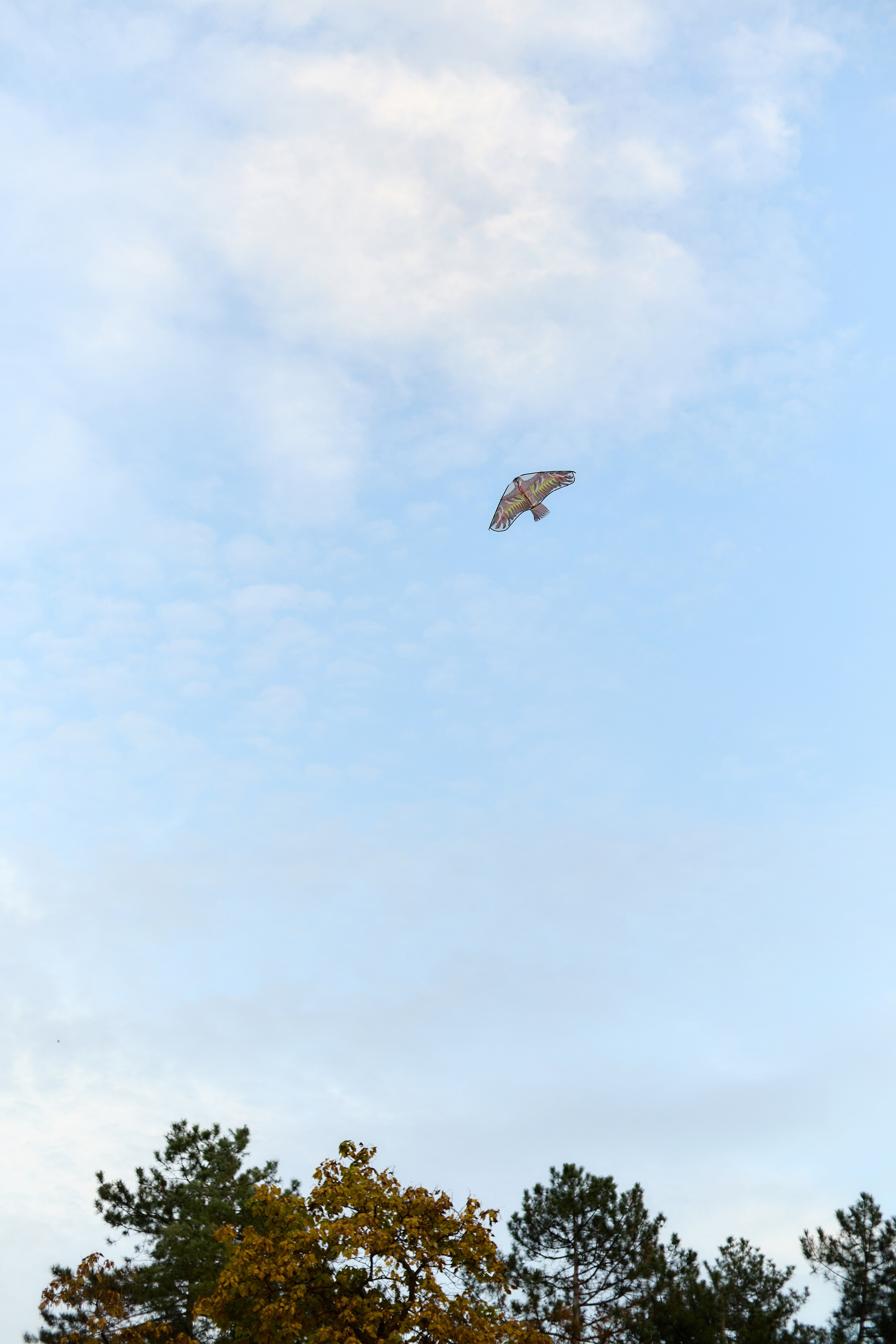 Andrei & Maria. Свадебный и семейный фотограф. Fotograf de nunta si familie