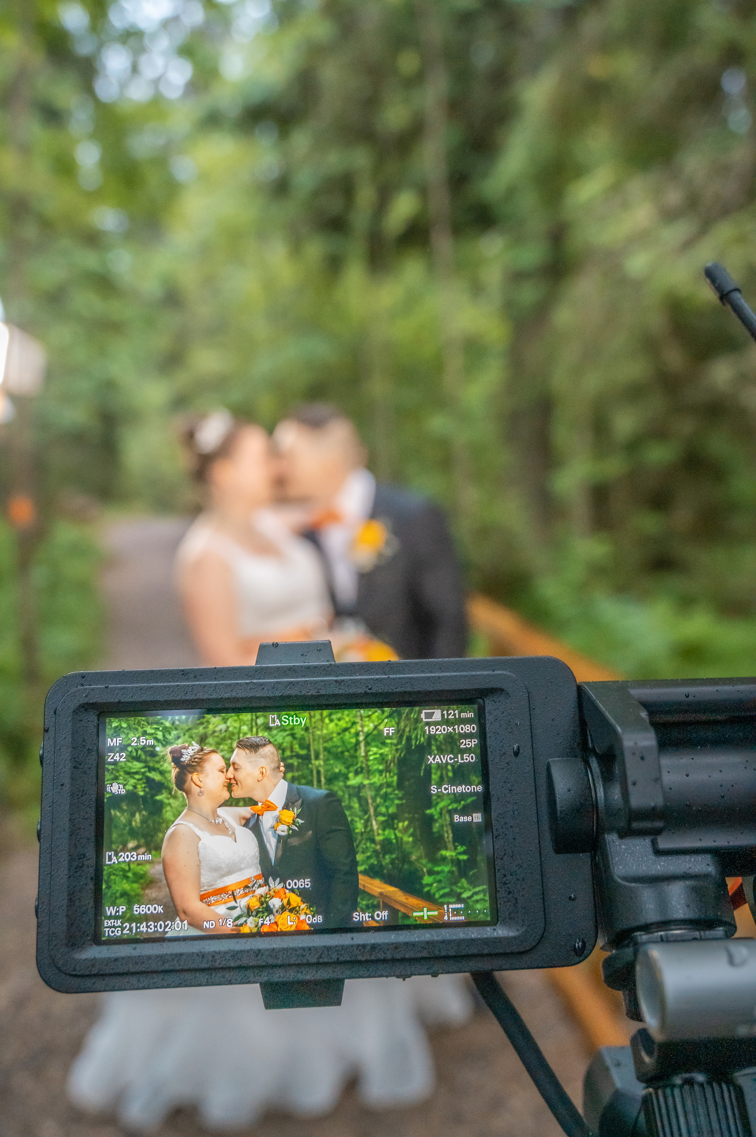 Häävalokuvaus. Kinosura Creative Studio Helsingissa ja Kuopiossa