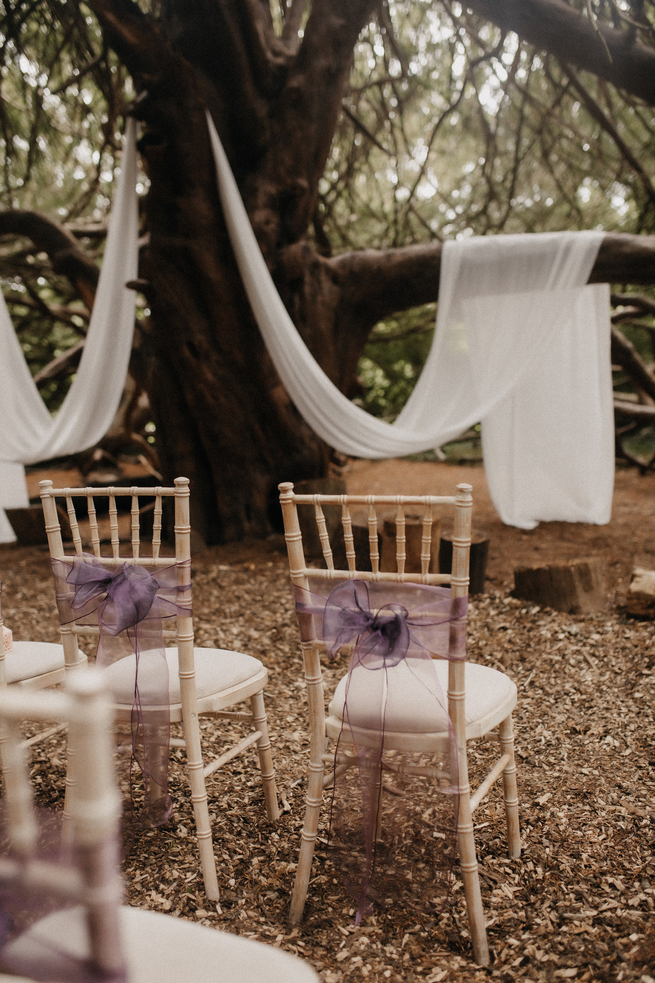 Weddings. Yorkshire Wedding and Portrait Photographer Evie Moon