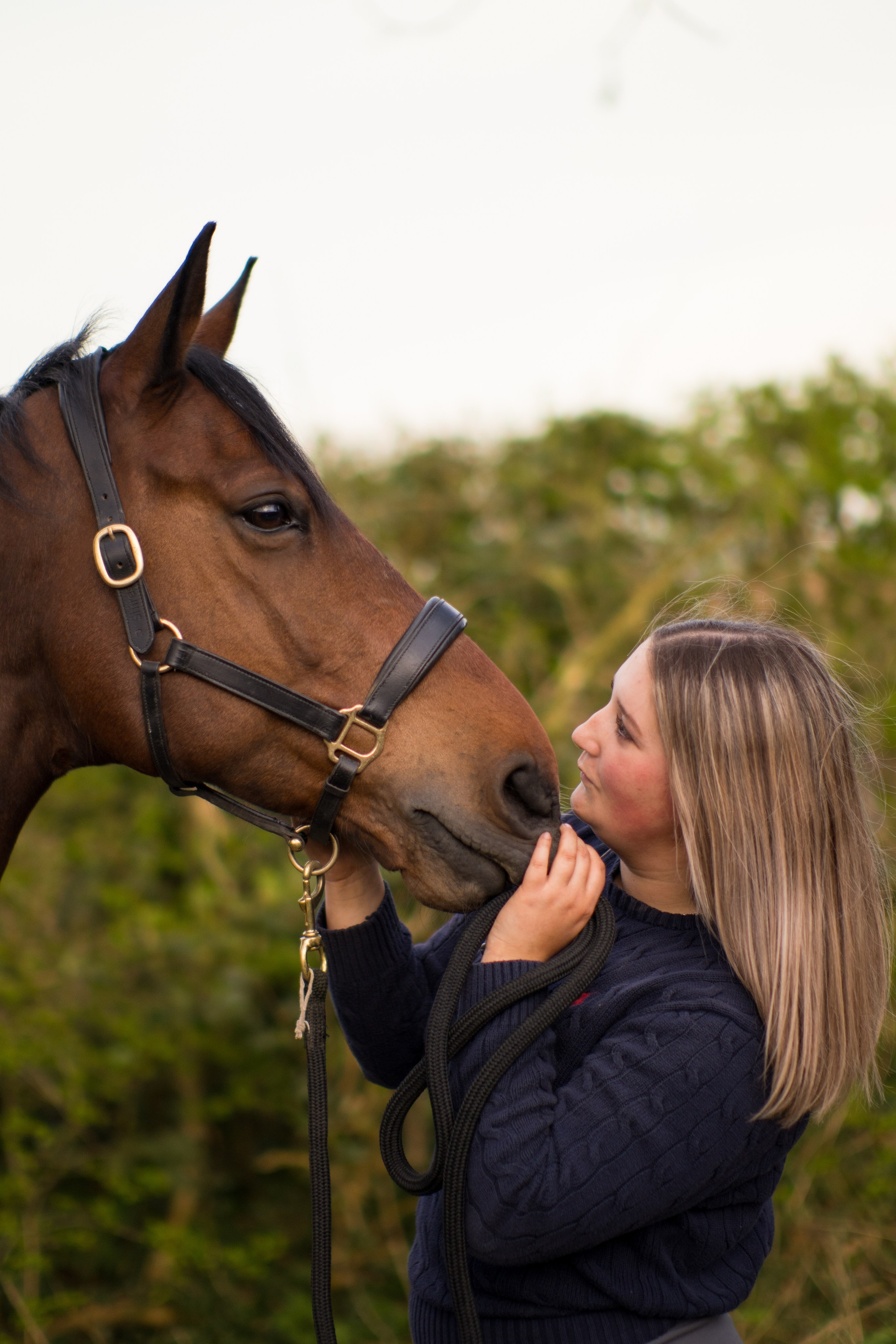 Young girl walking with a brown pony at sunset in Leicestershire countryside