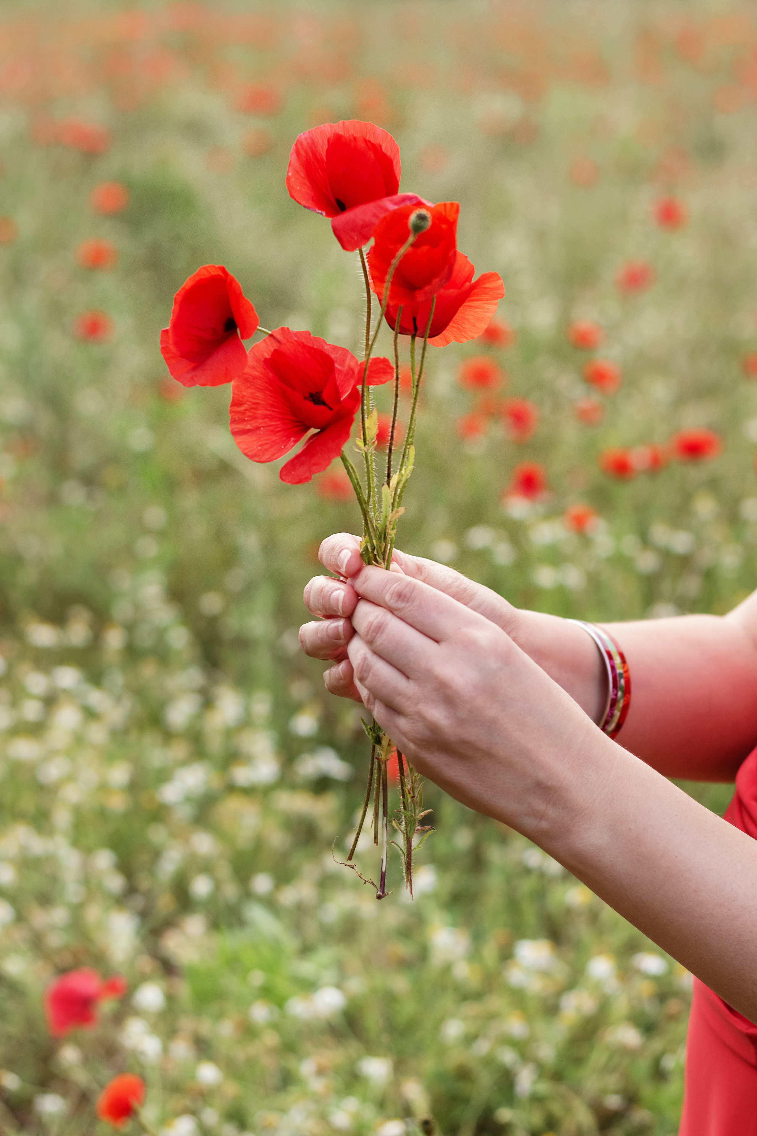 Portfolio. Photographe et retoucheuse des images des produits à Avignon en France