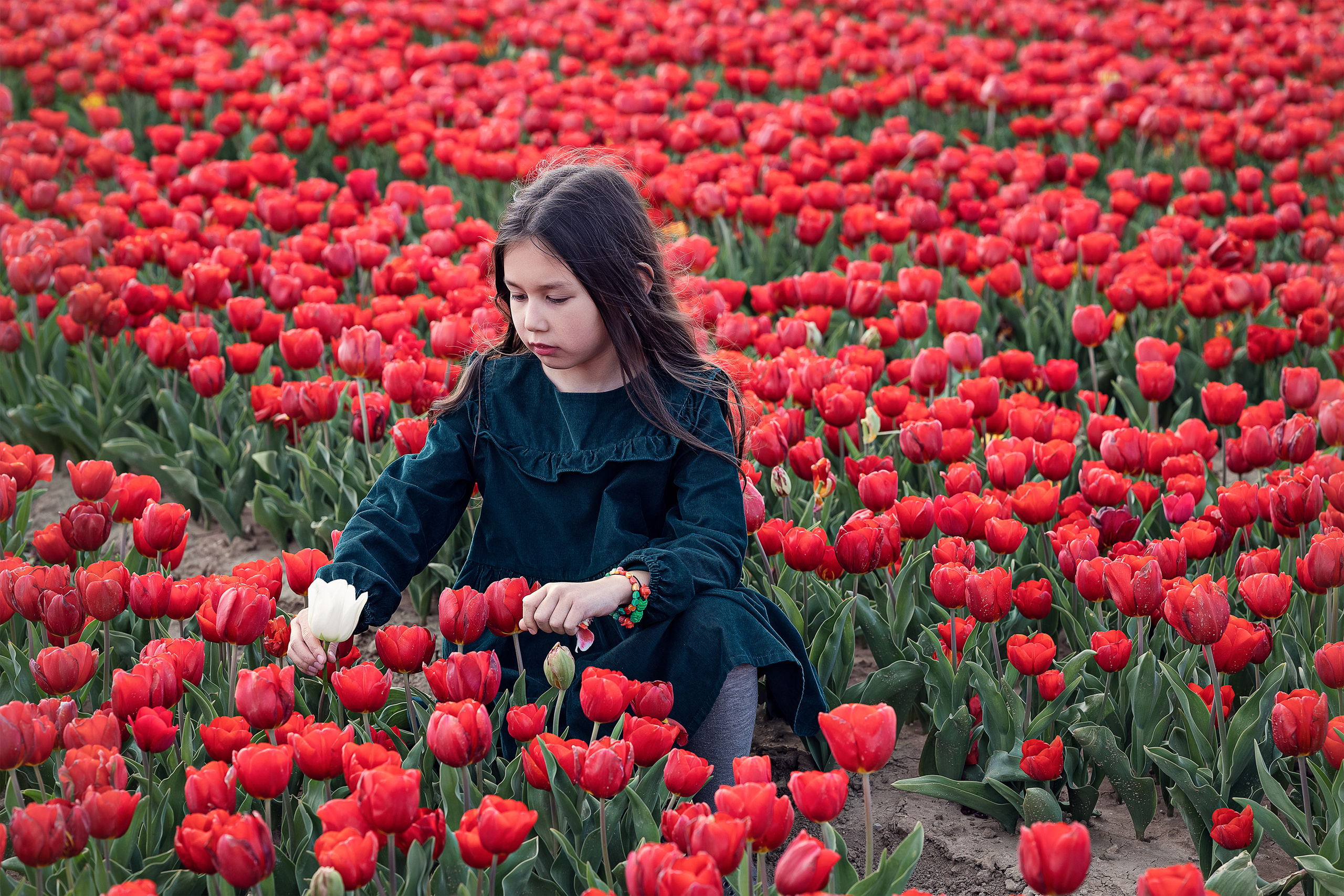 Photographe et retoucheuse des images des produits à Avignon en France