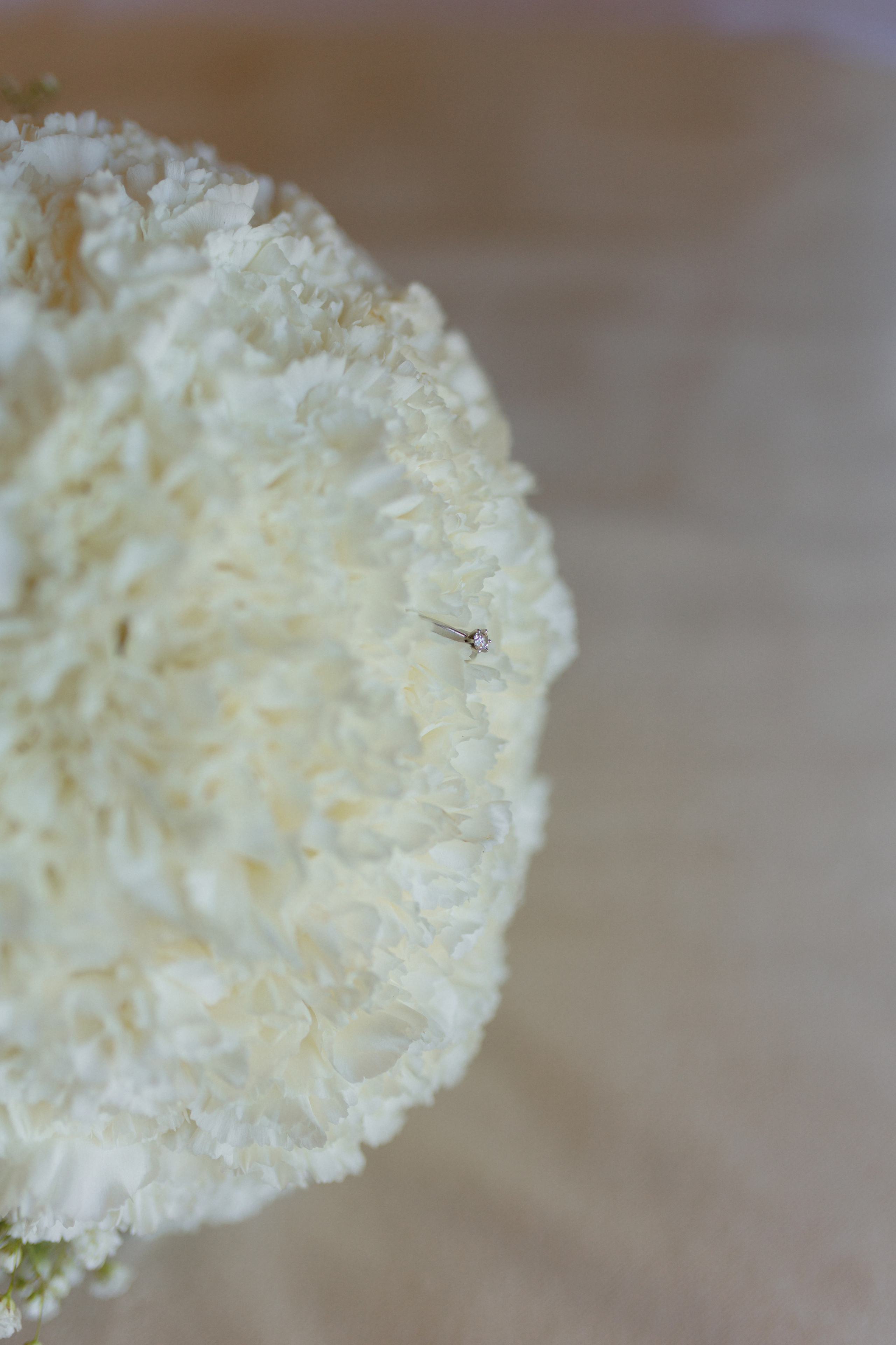 Villa Trevi Wedding near Timisoara. Wedding photographer and videographer based in Timisoara, Romania