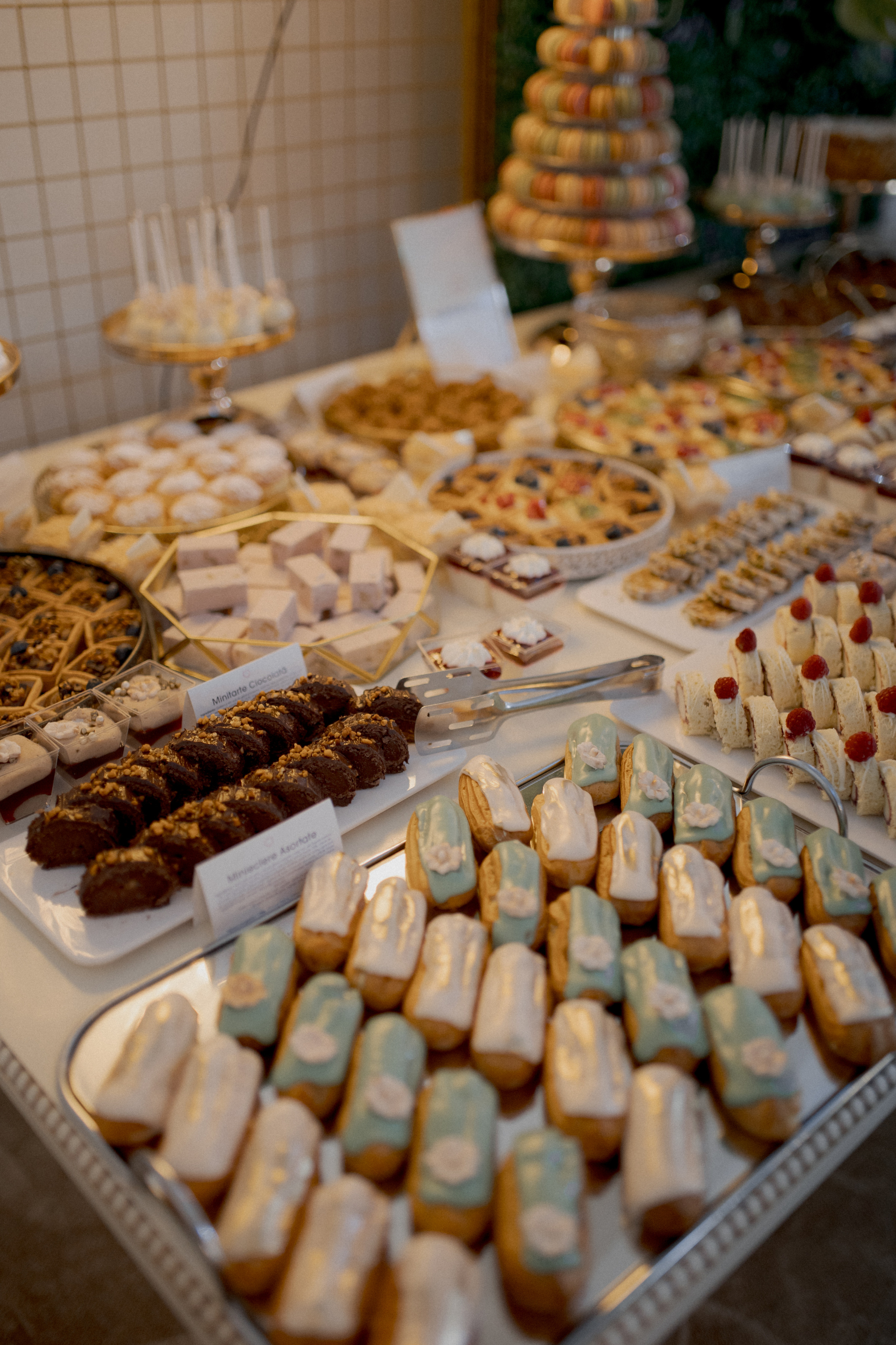 Villa Trevi Wedding near Timisoara. Wedding photographer and videographer based in Timisoara, Romania