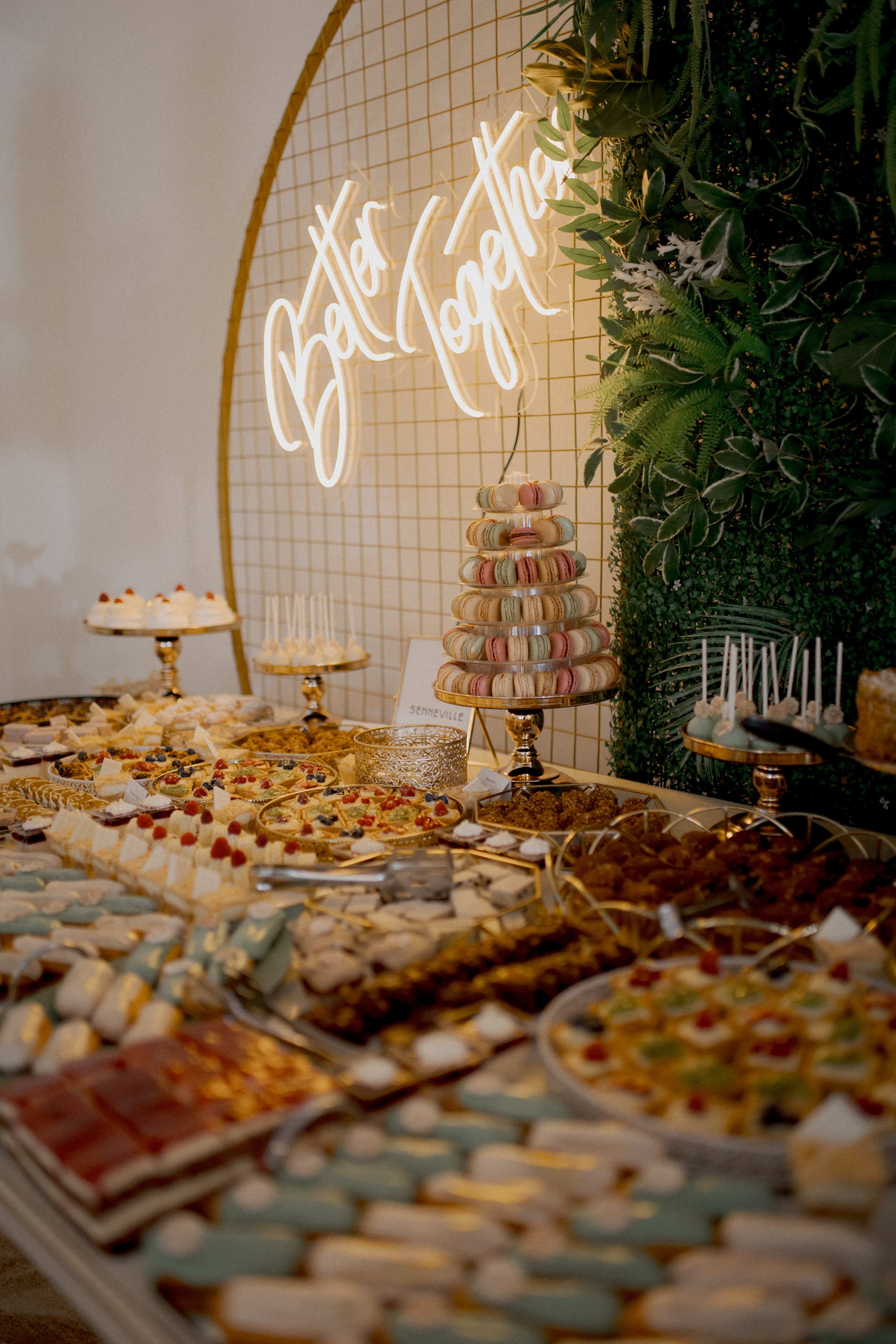 Villa Trevi Wedding near Timisoara. Wedding photographer and videographer based in Timisoara, Romania