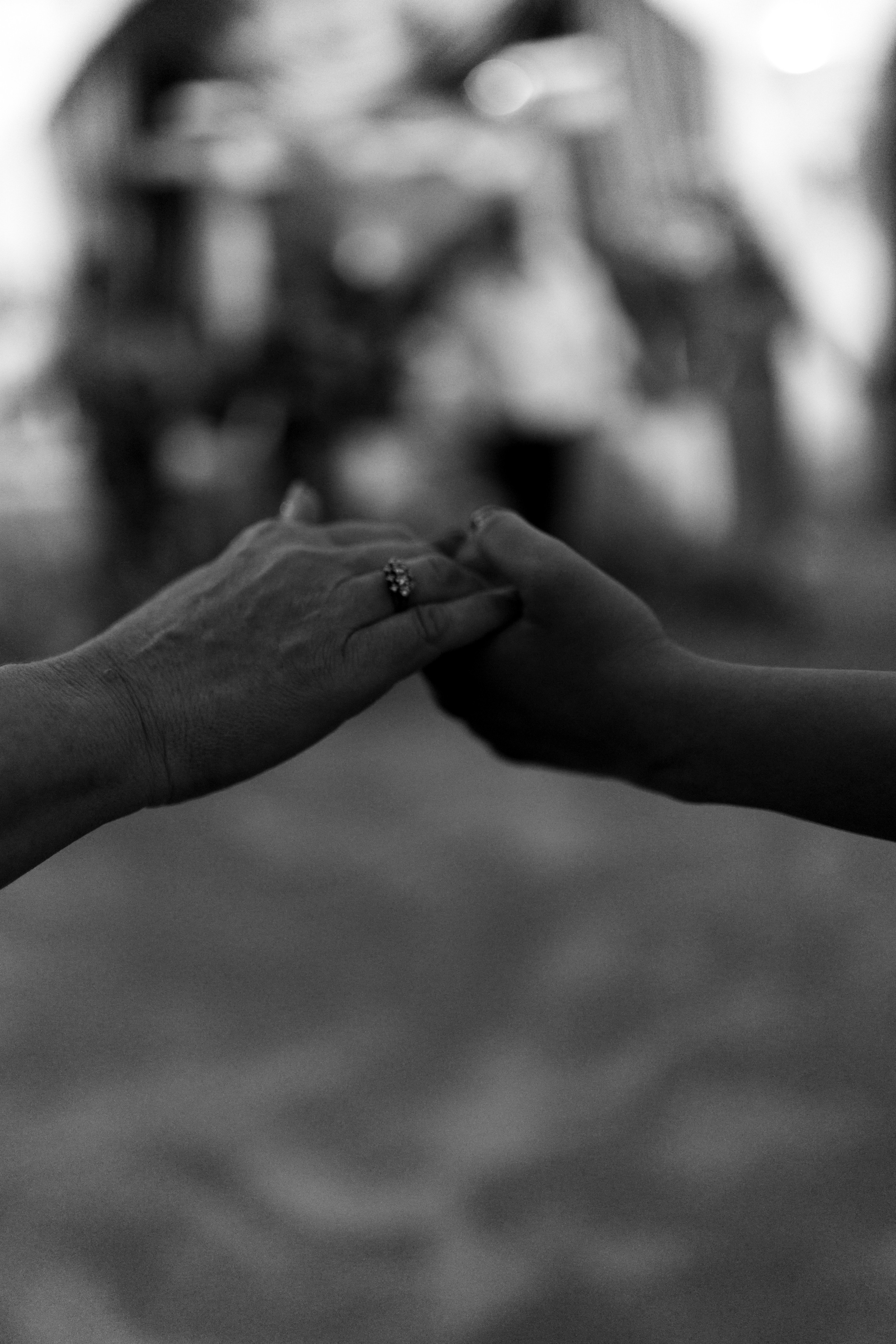 Villa Trevi Wedding near Timisoara. Wedding photographer and videographer based in Timisoara, Romania