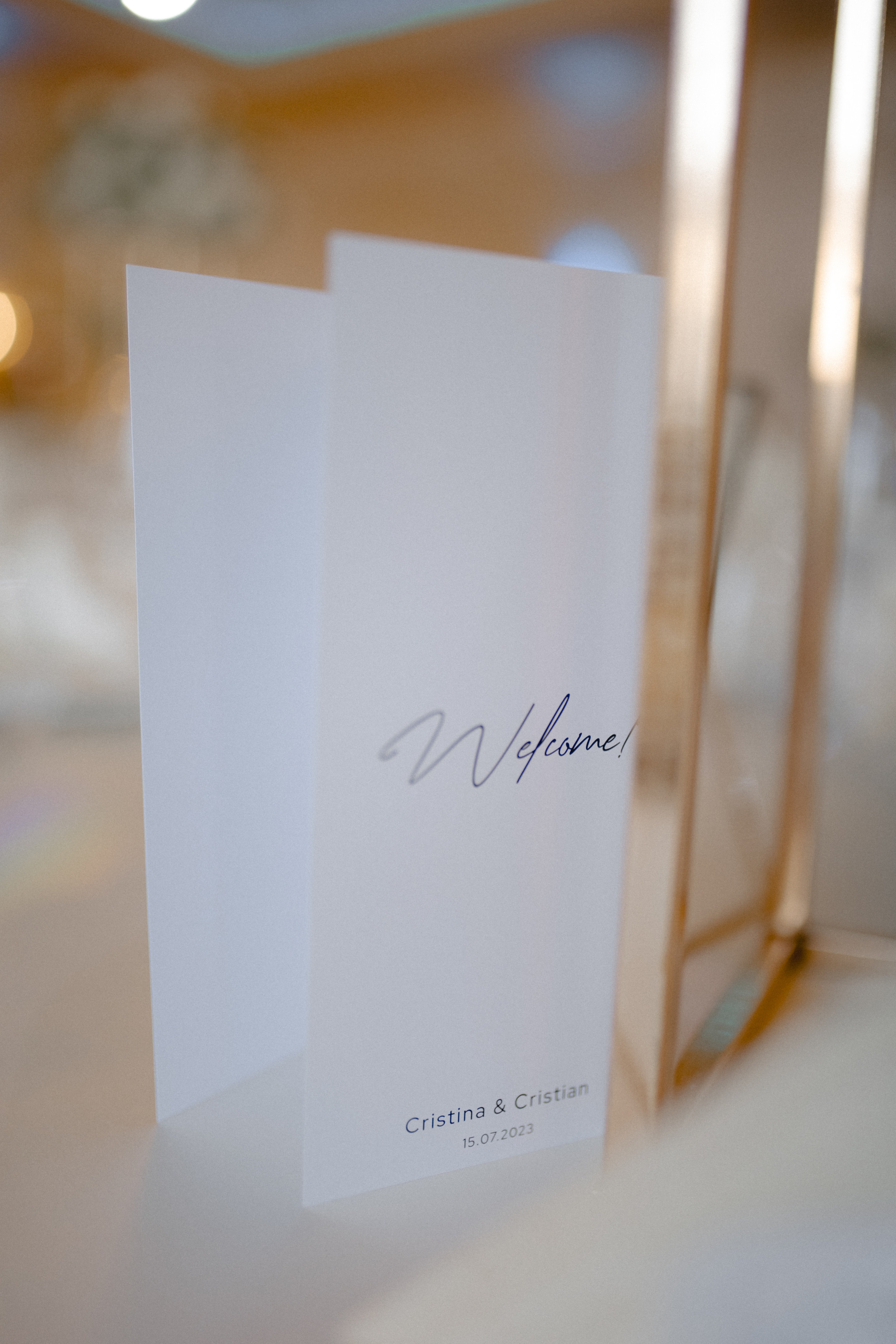 Villa Trevi Wedding near Timisoara. Wedding photographer and videographer based in Timisoara, Romania