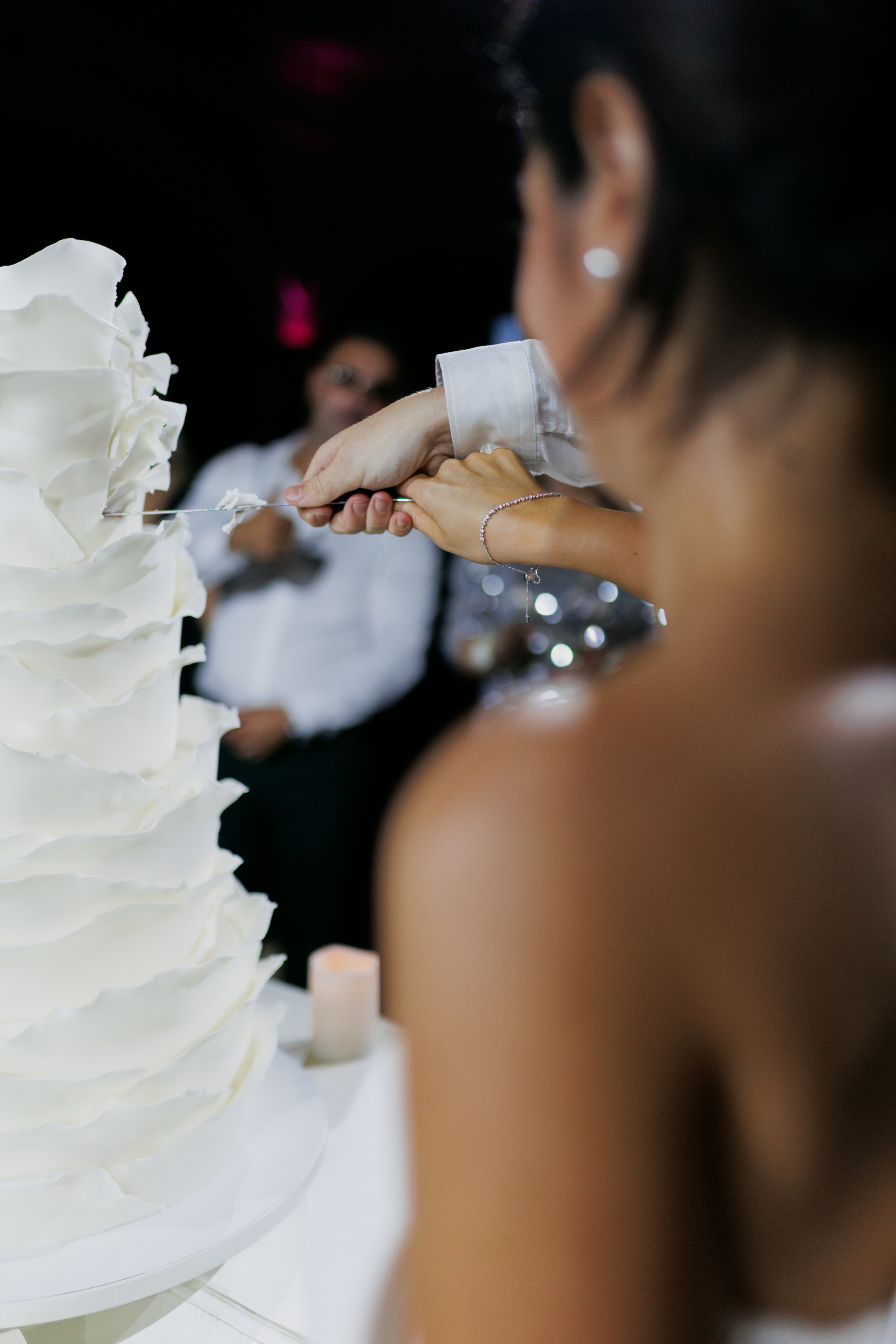 Villa Trevi Wedding near Timisoara. Wedding photographer and videographer based in Timisoara, Romania