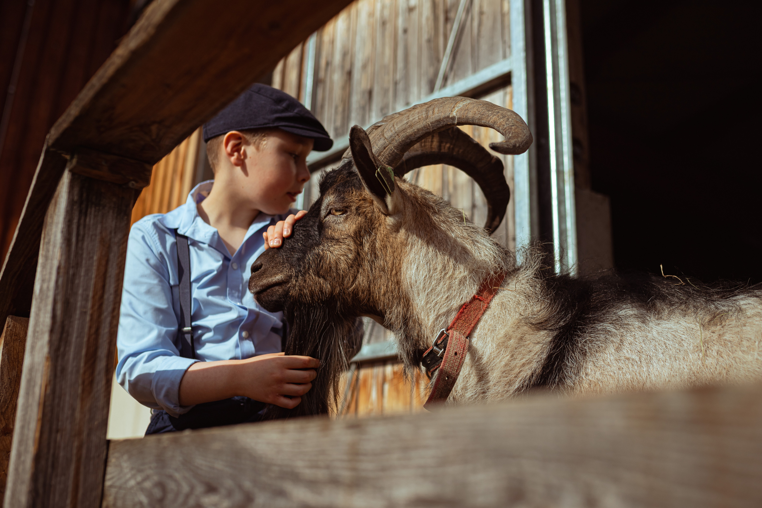 Projets créatifs. Семейный и детский фотограф в Люксембурге Anastasia Arend