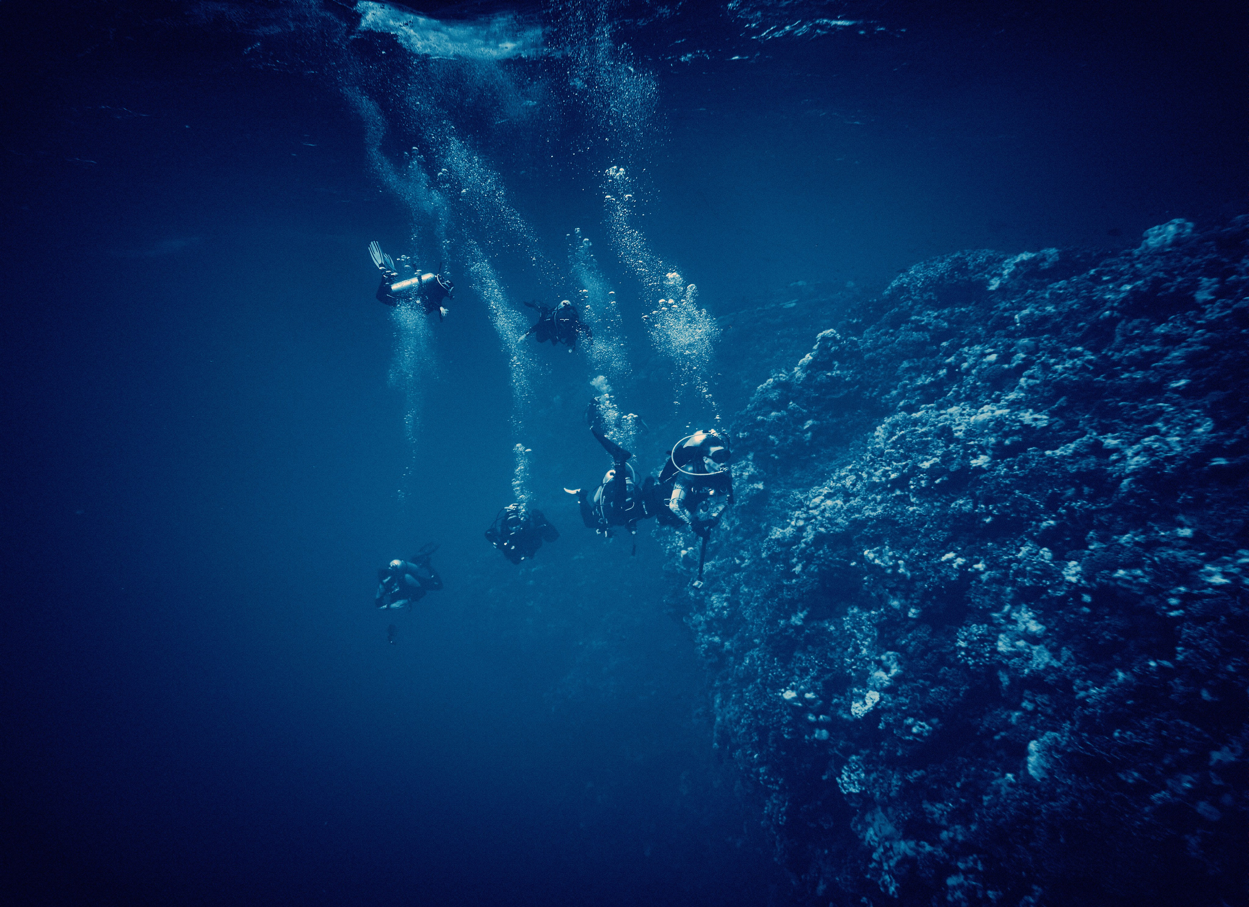 2023-11 - Diving Safari Deep South Egypt. Андрей Шипилов — Фотография & Видеография