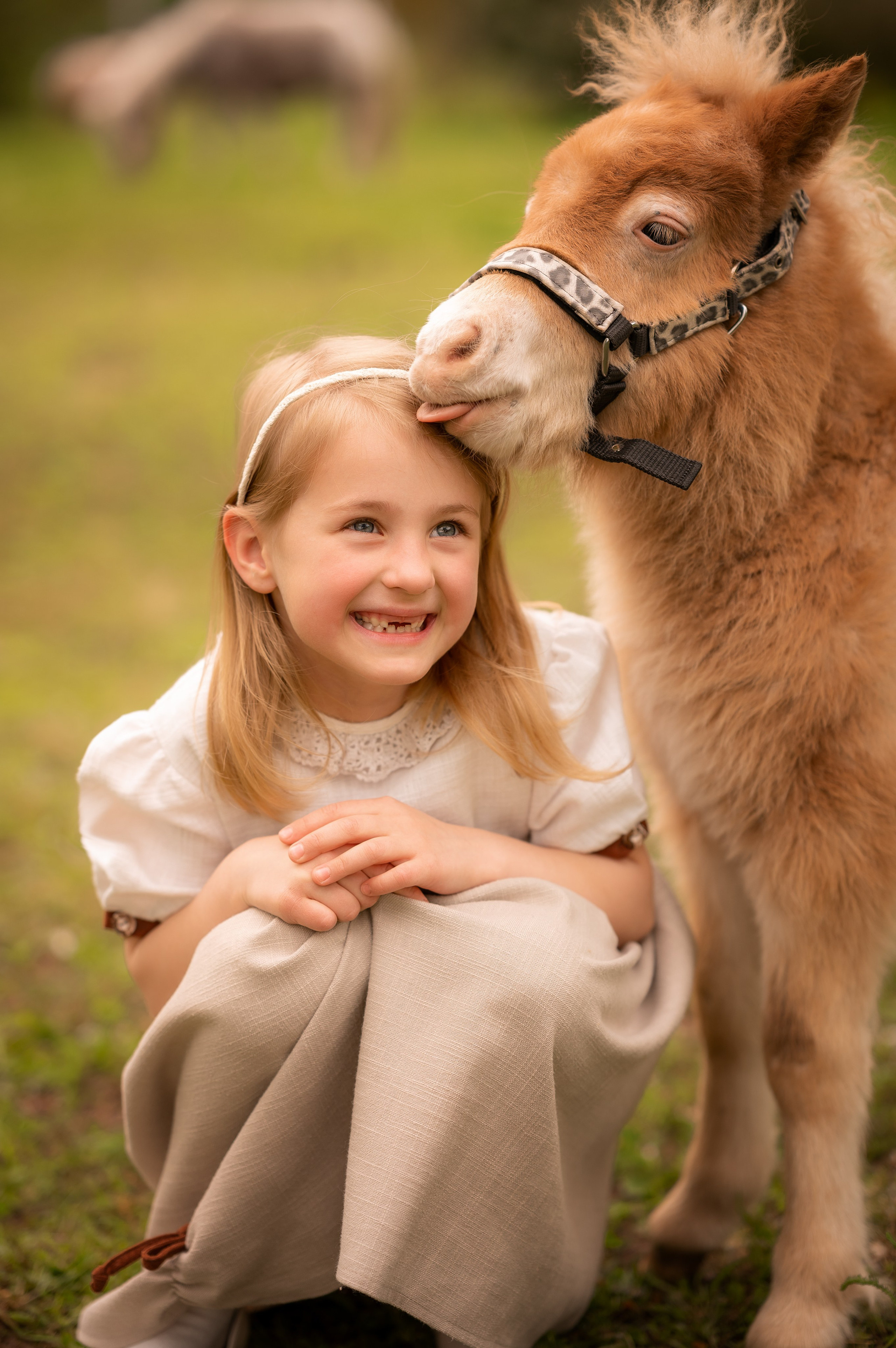 Ponys. Kinder- & Familienfotograf in Gaildorf und Umgebung Valentina Vogel