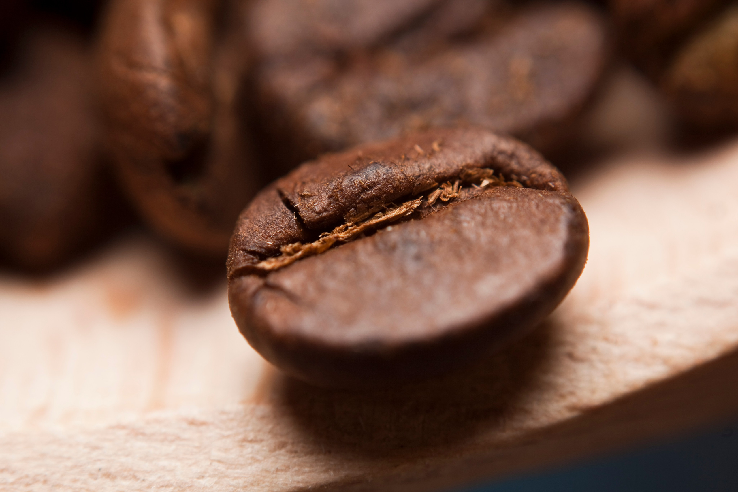 Hrana. Adam Radosavljevic fotograf