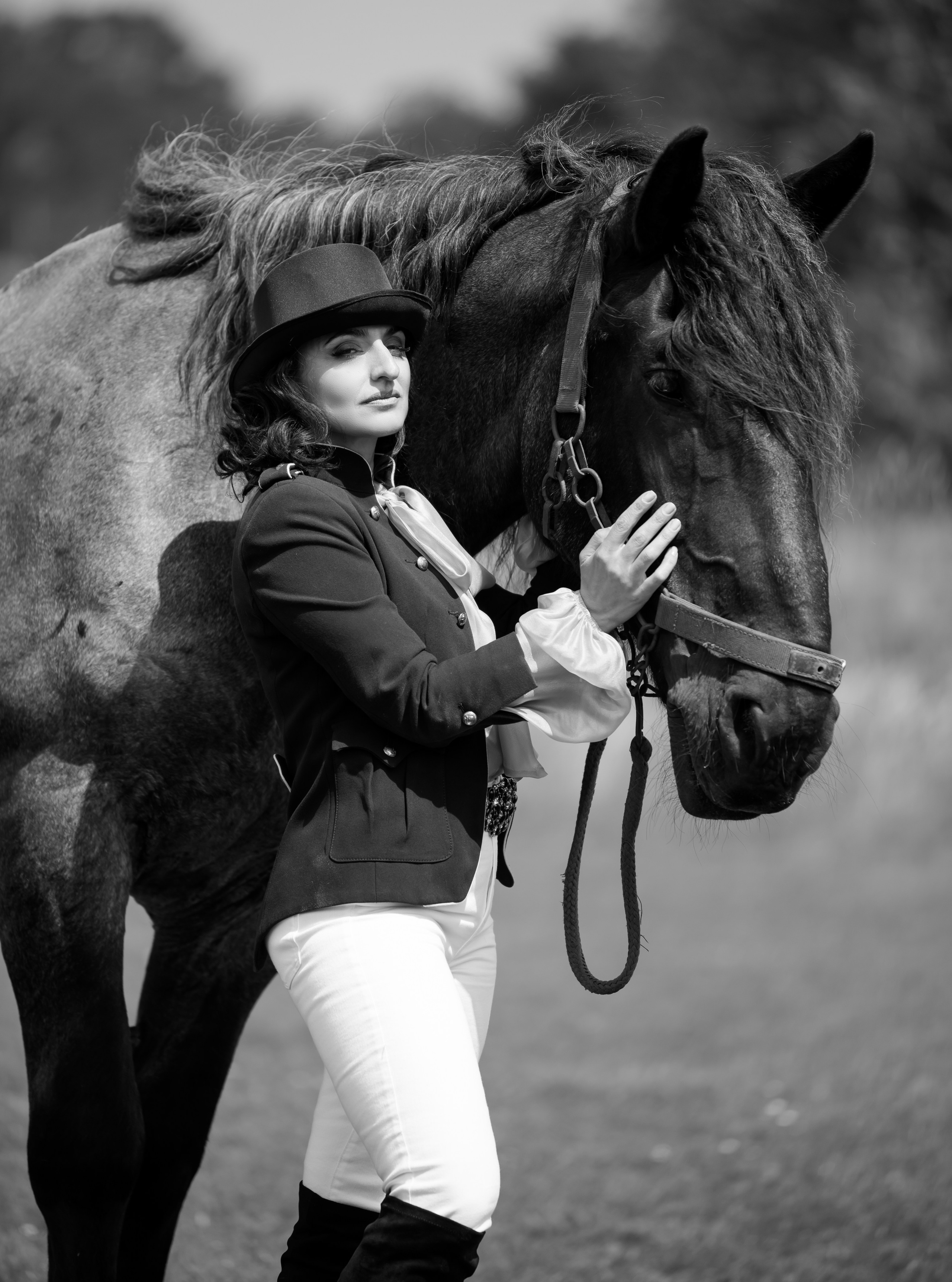 Photoshoot with Horses. Professional Photograher, Antwerpen/Belgium