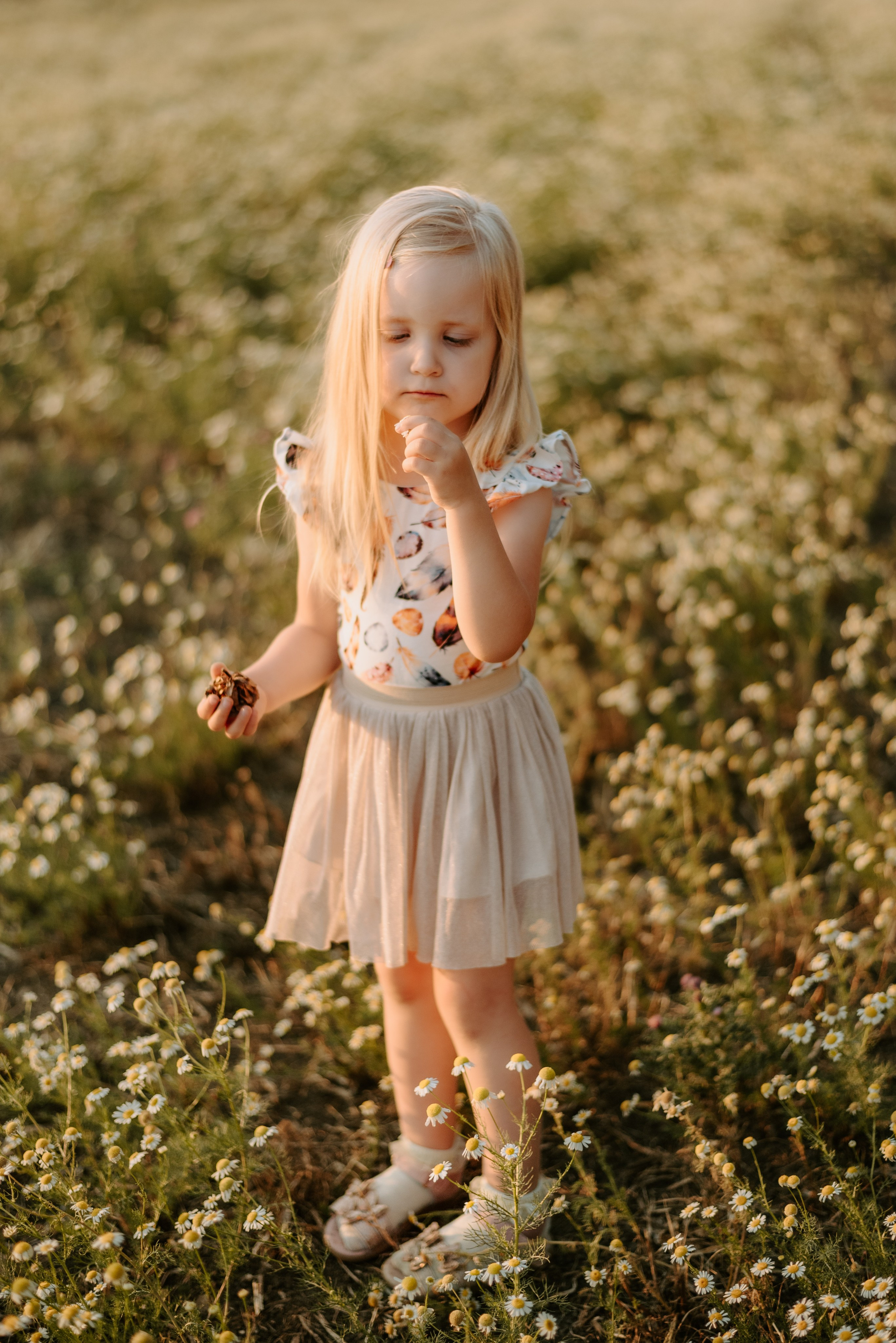 Lucka and family. Lifestyle, wedding and family photographer