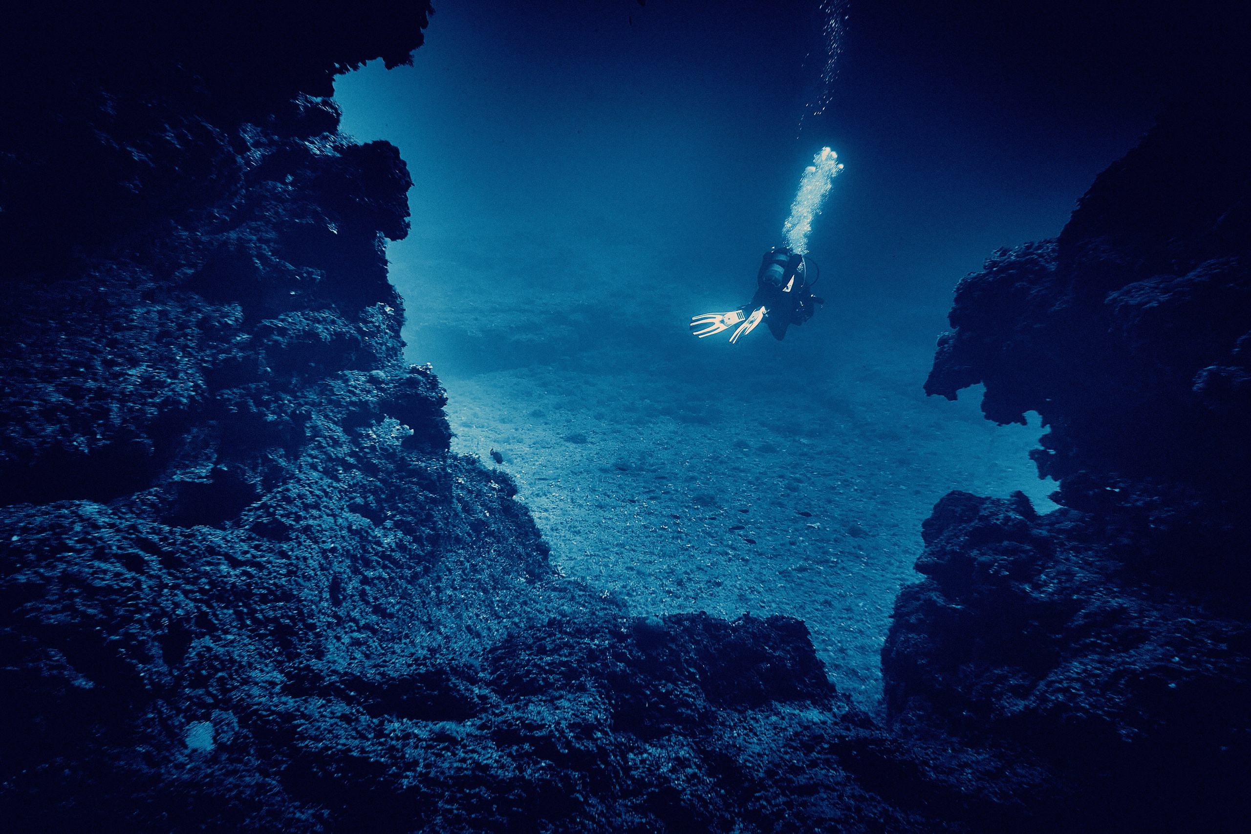 Fotograf podwodny Andriej Szypiłow. Andriej Szypilow - Fotografia & Wideografia