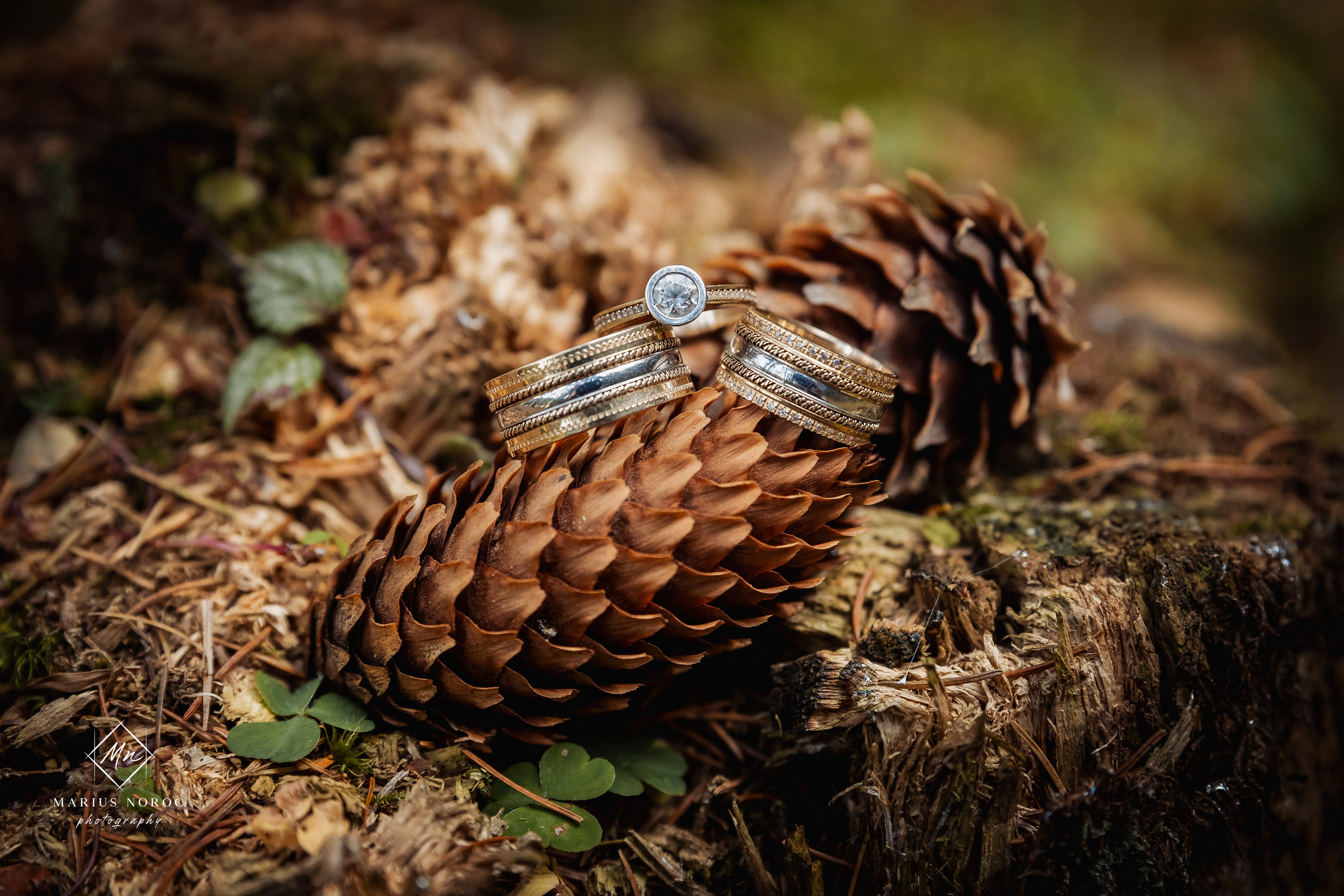 Elena & Alexandru | Sedinta Foto After Wedding