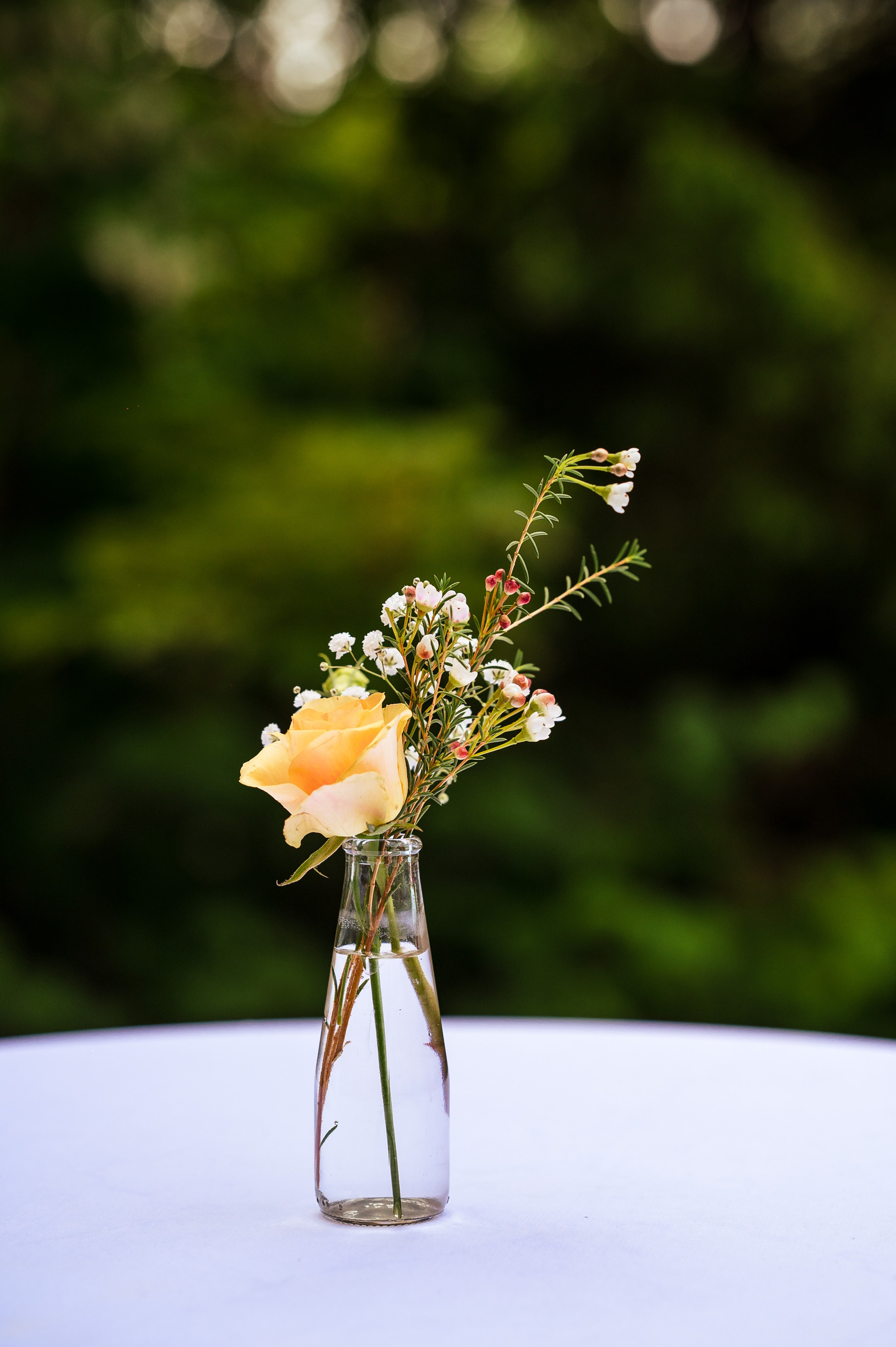 Iulia&Zoltan | Nunta Brasov. Claudiupaunica.ro