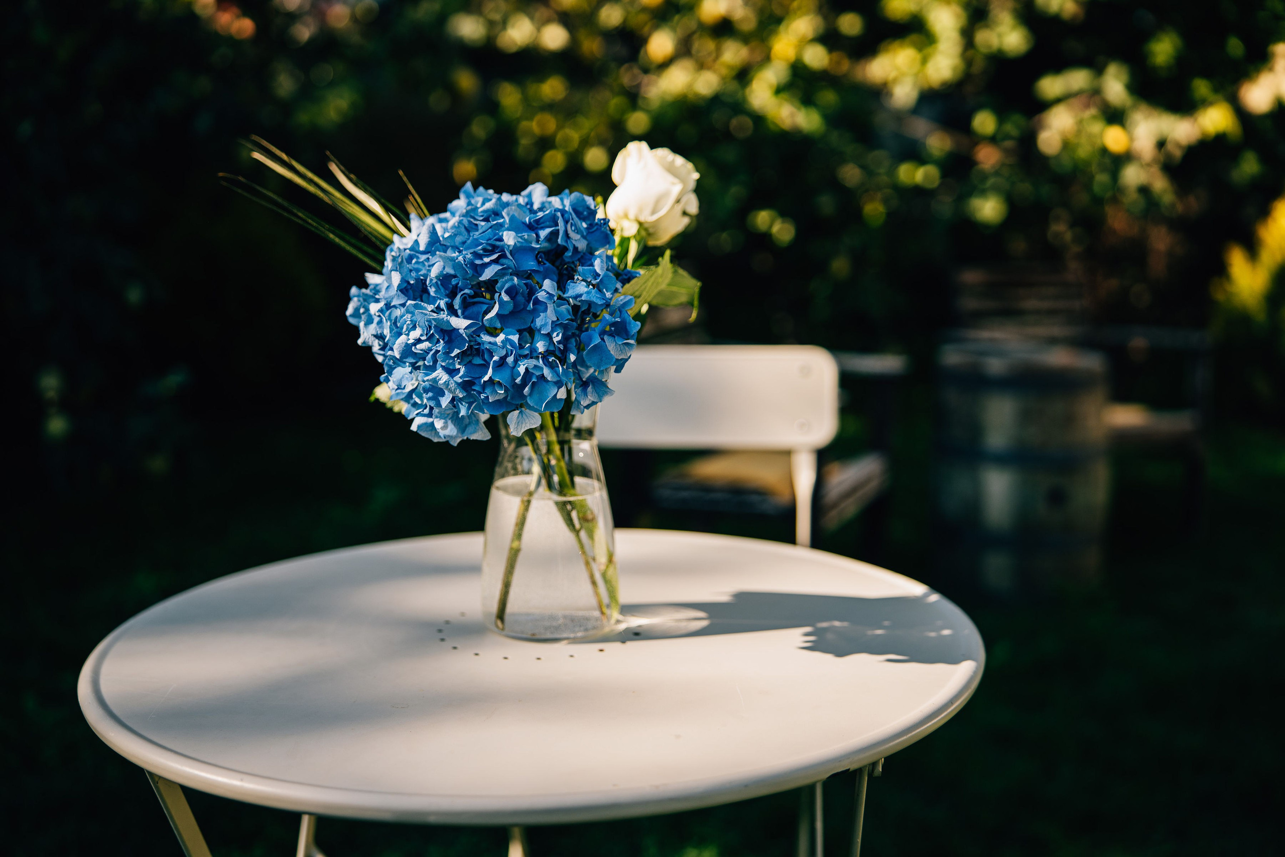 Roxana, Lucian & un început în trei. Liviu Andrei - Fotograf