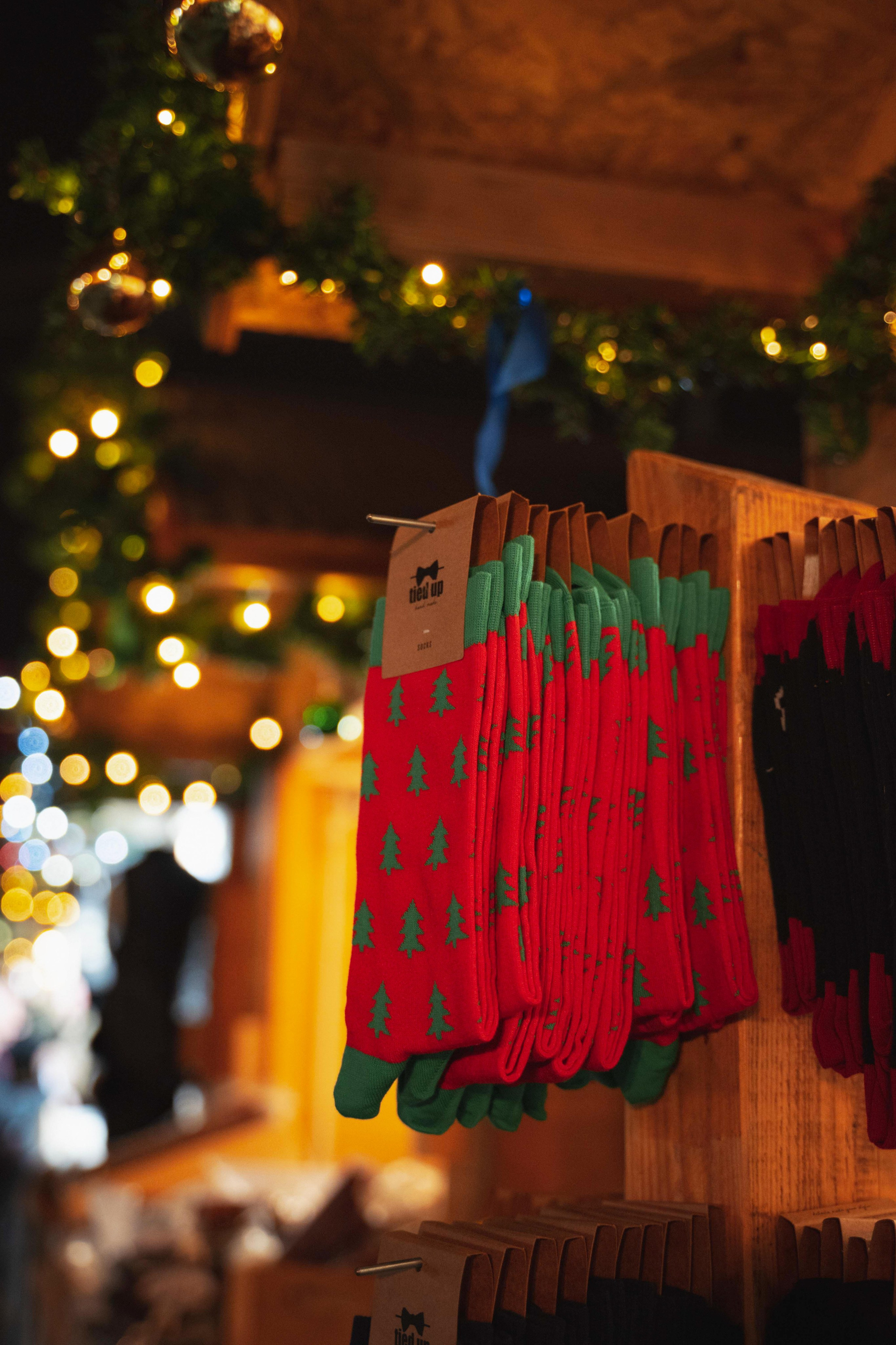 Novosadski Zimzolend. Жуков Студио