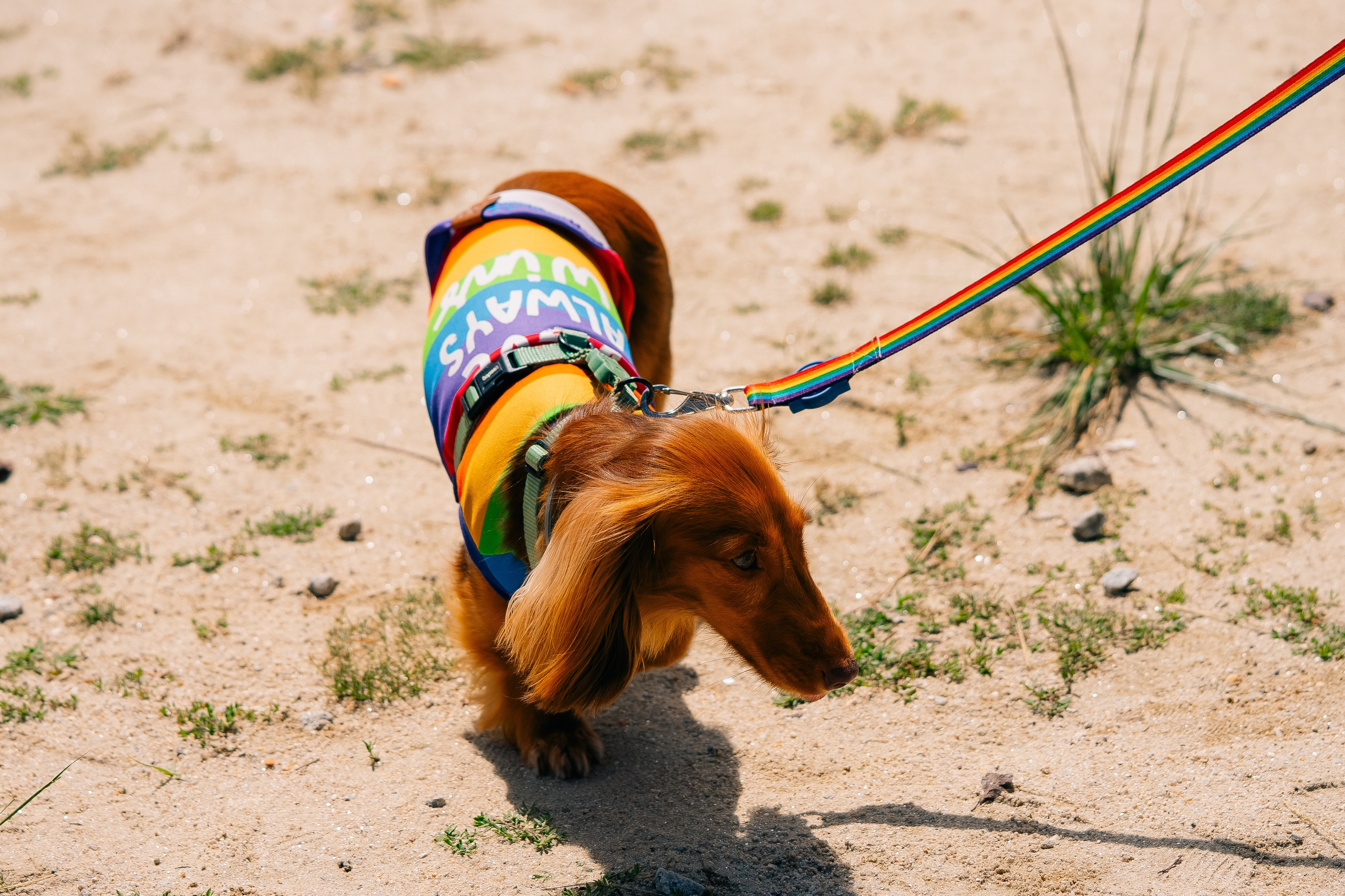 Porto Pride 2024. Maria Sher. Professional photographer from Porto, Portugal