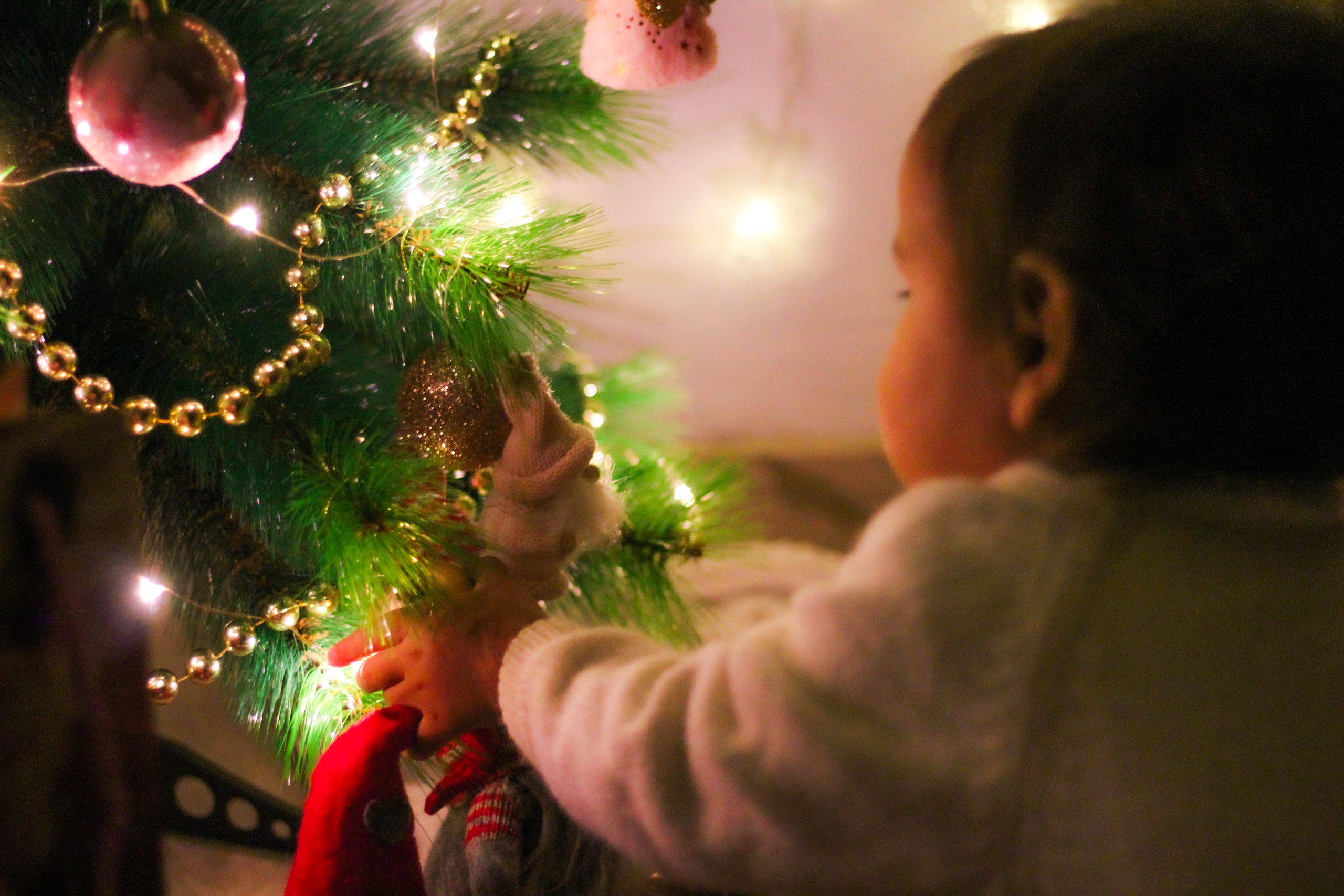 Maria&Miguel. Фотограф в Матаро, Барселона. Евгения Шихина